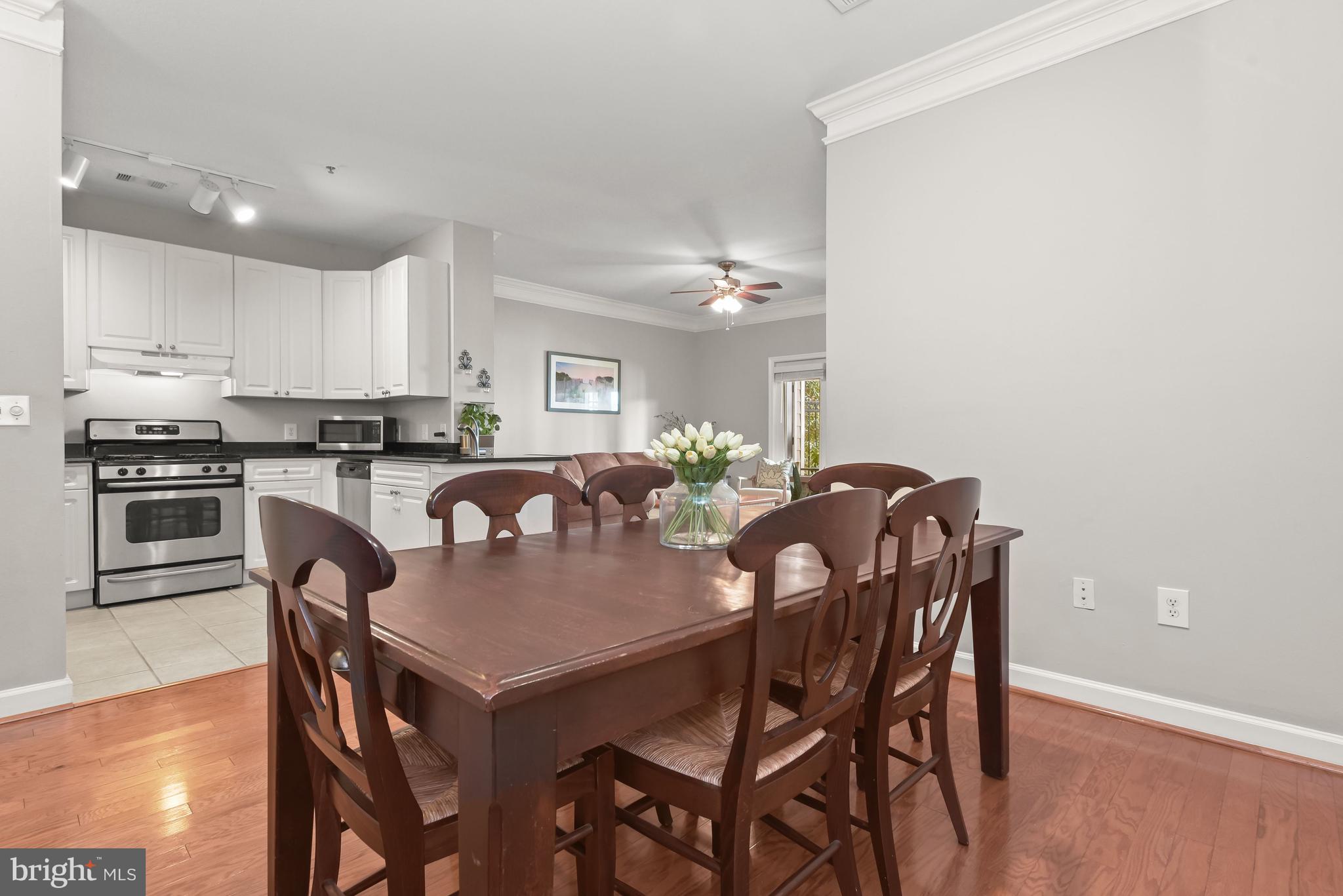 FITZ AT ROCKVILLE TOWN C - Residential