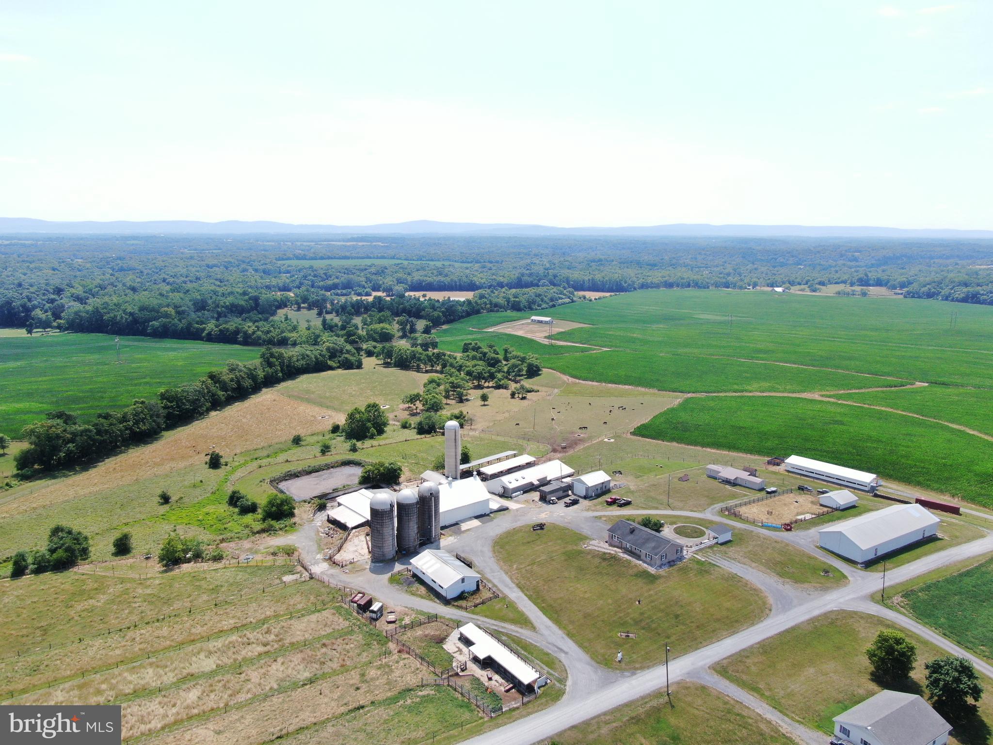 NONE AVAILABLE - Farm