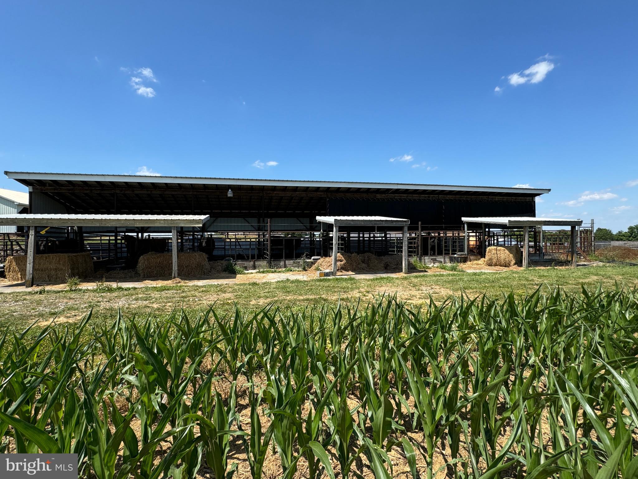 NONE AVAILABLE - Farm