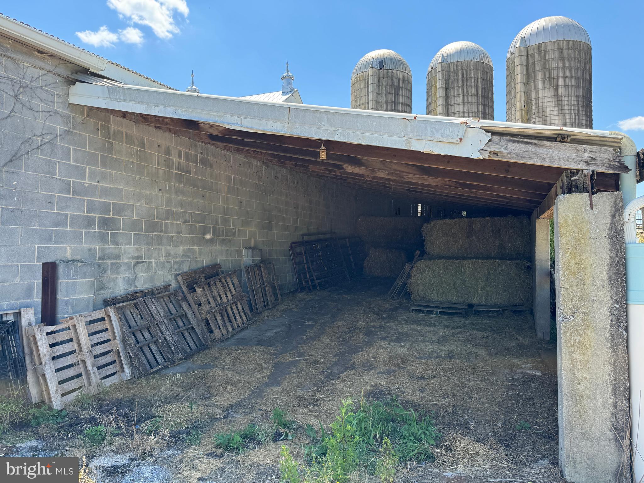 NONE AVAILABLE - Farm