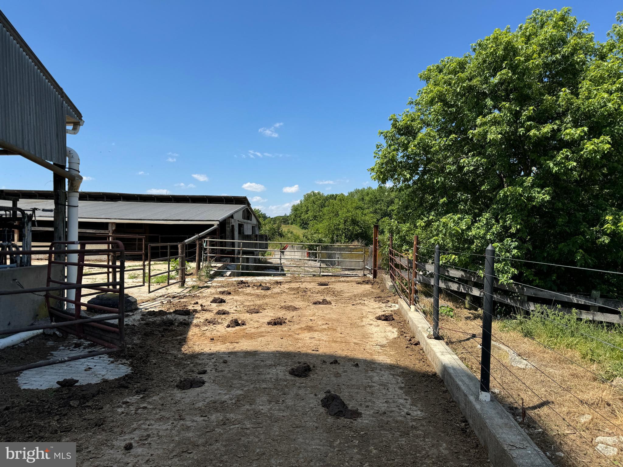 NONE AVAILABLE - Farm