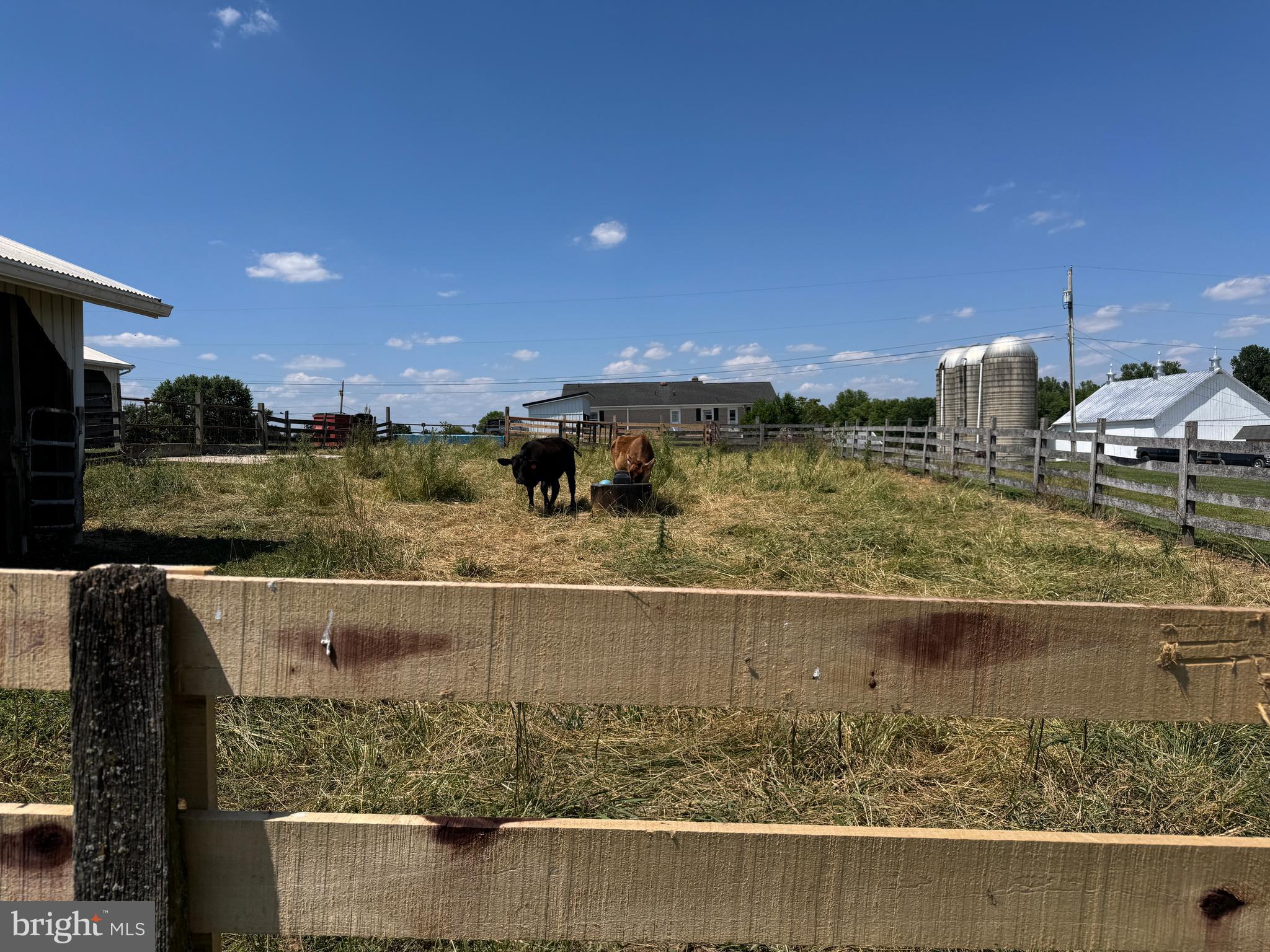 NONE AVAILABLE - Farm