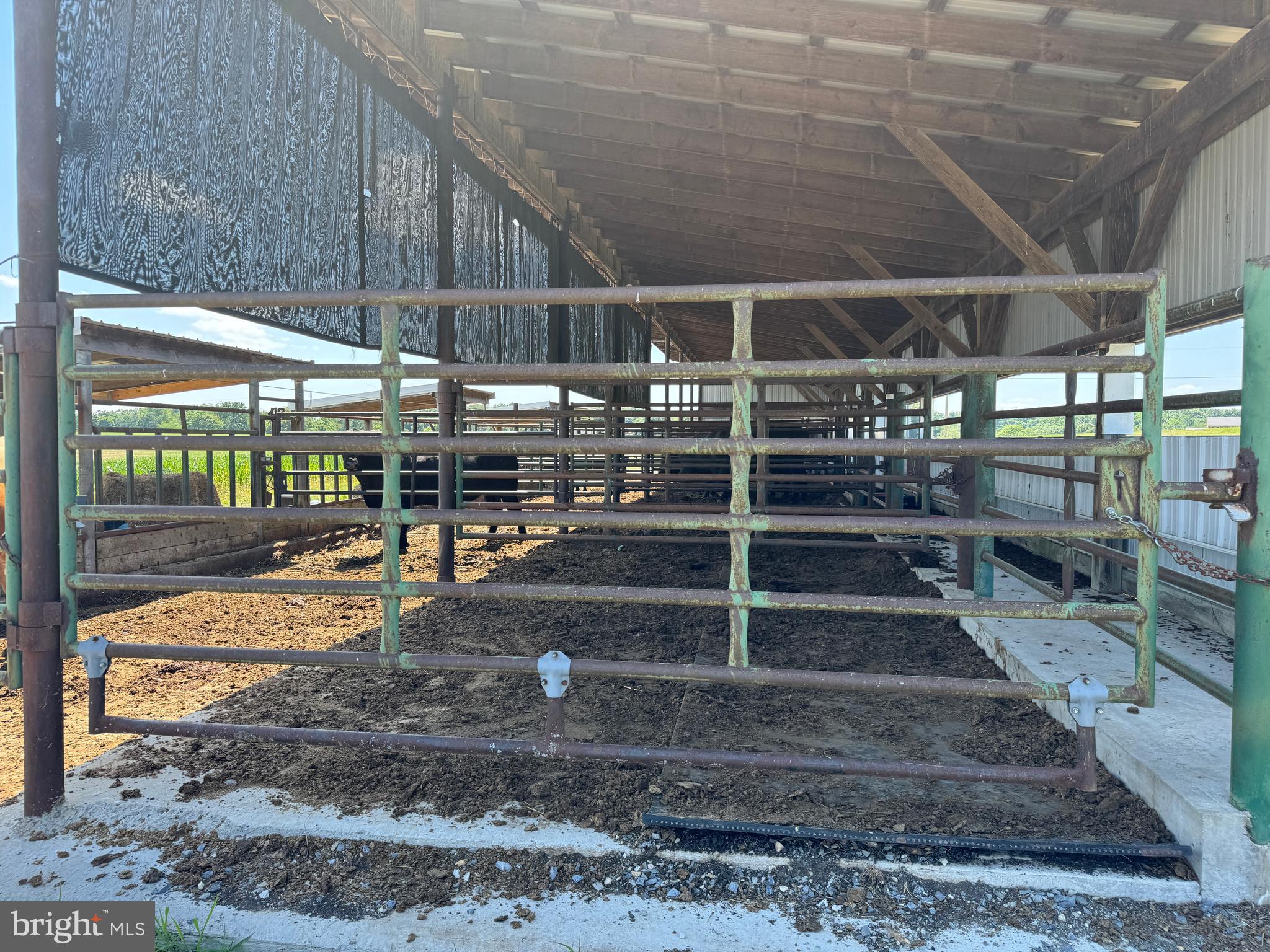 NONE AVAILABLE - Farm