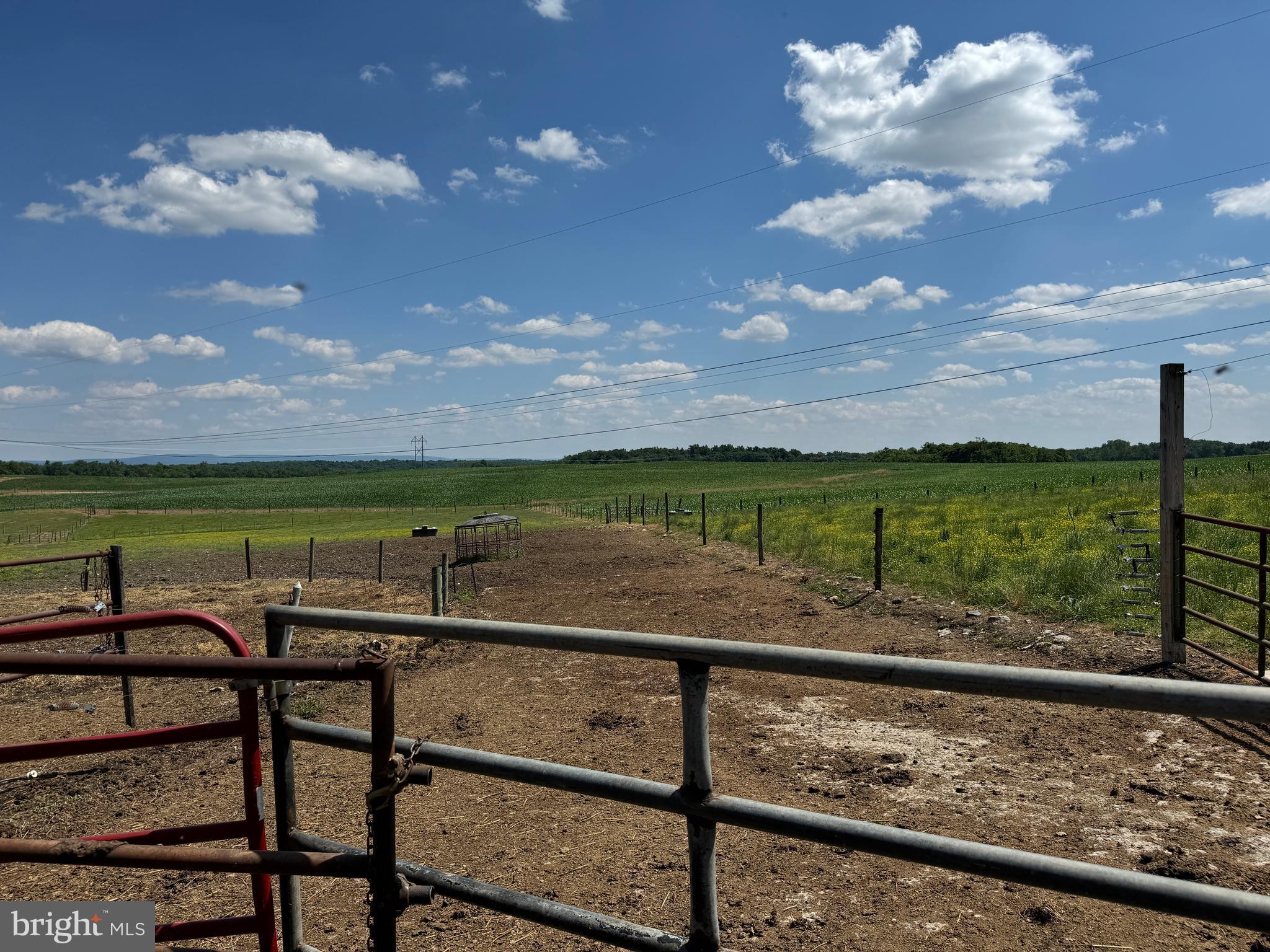 NONE AVAILABLE - Farm