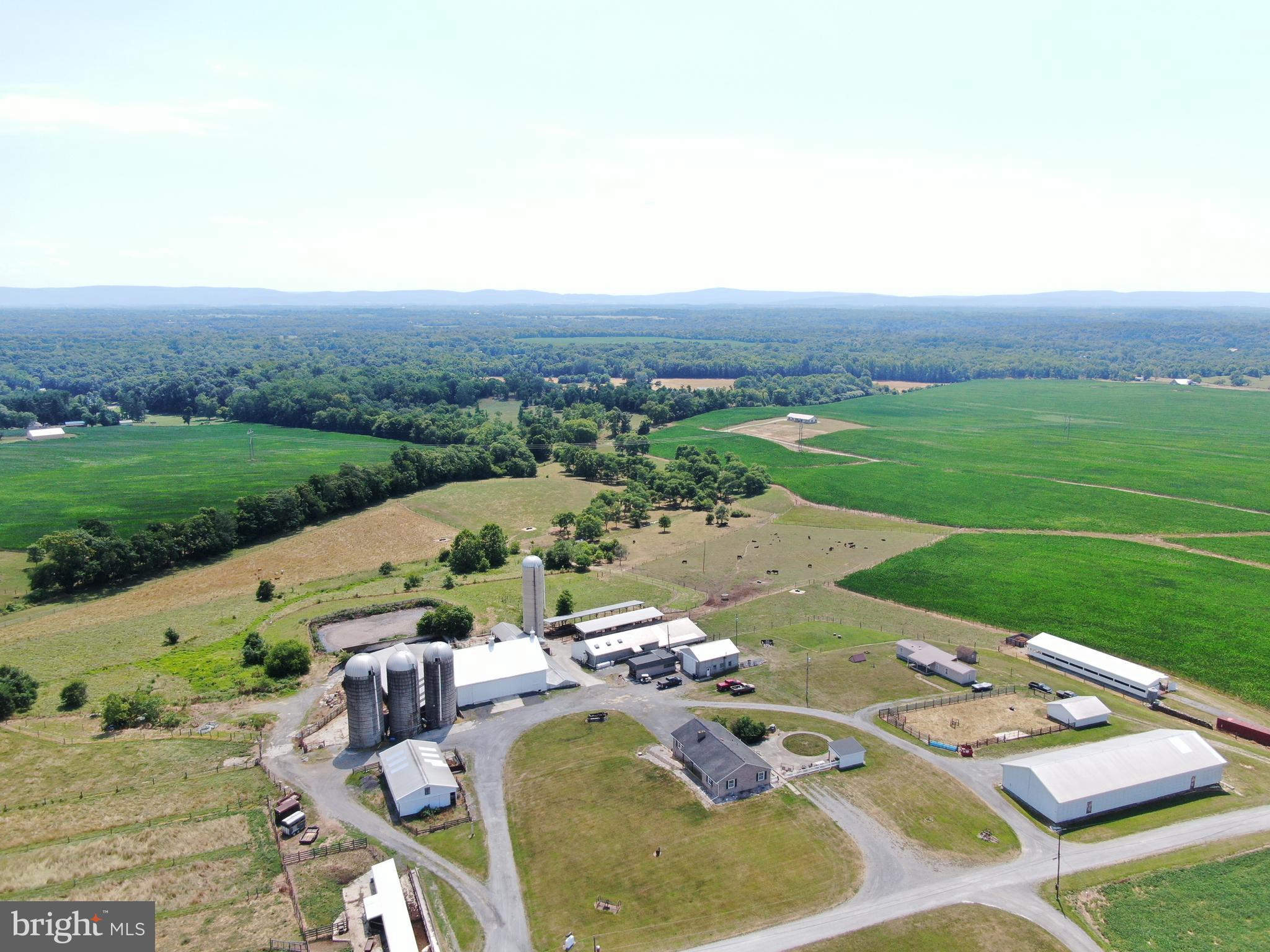 NONE AVAILABLE - Farm