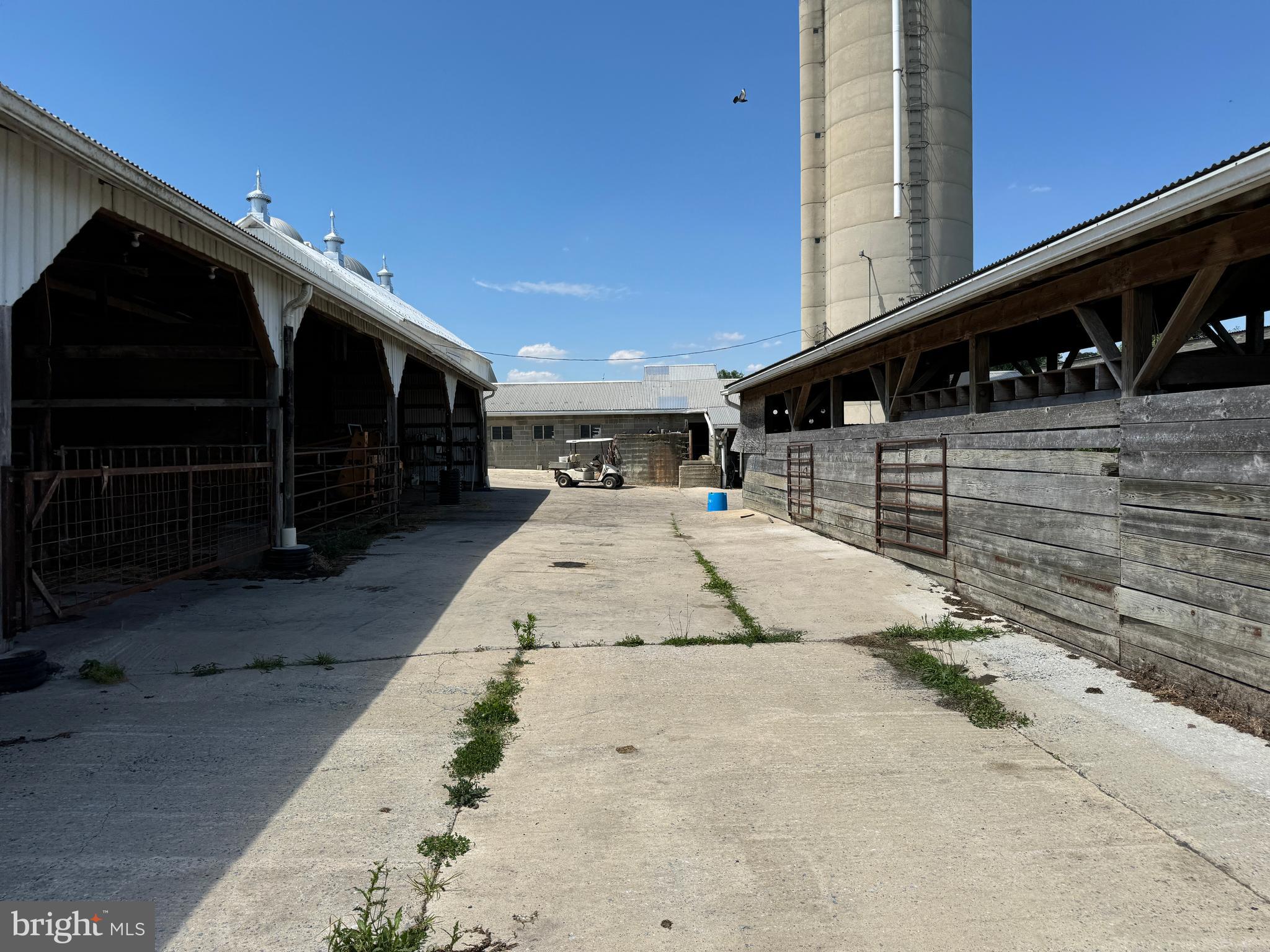 NONE AVAILABLE - Farm