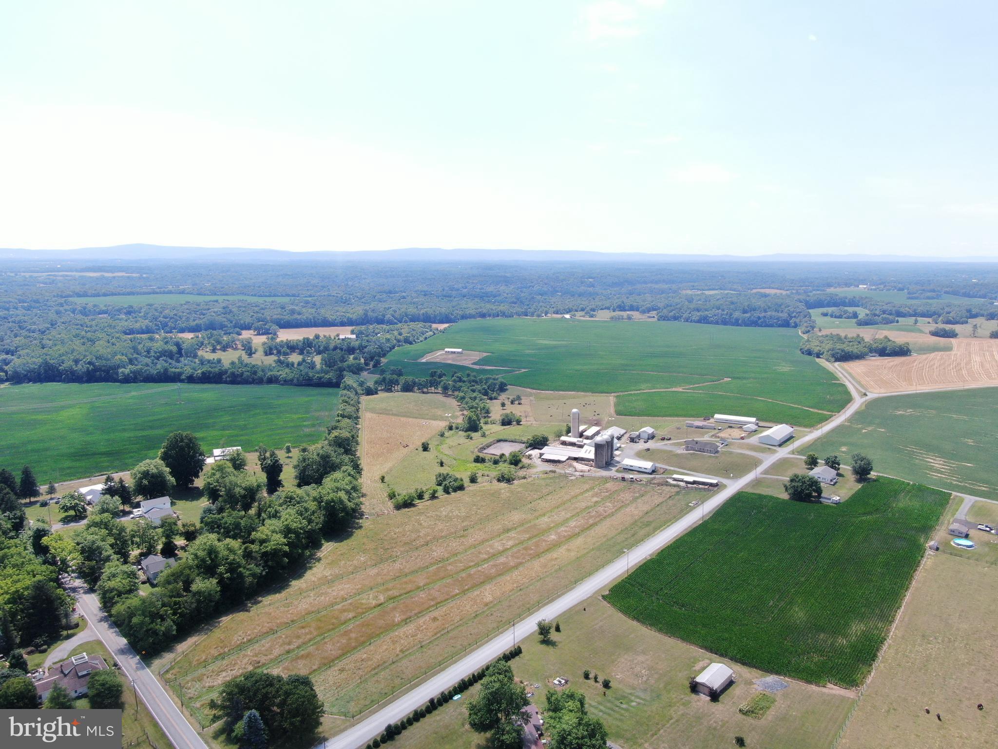 NONE AVAILABLE - Farm