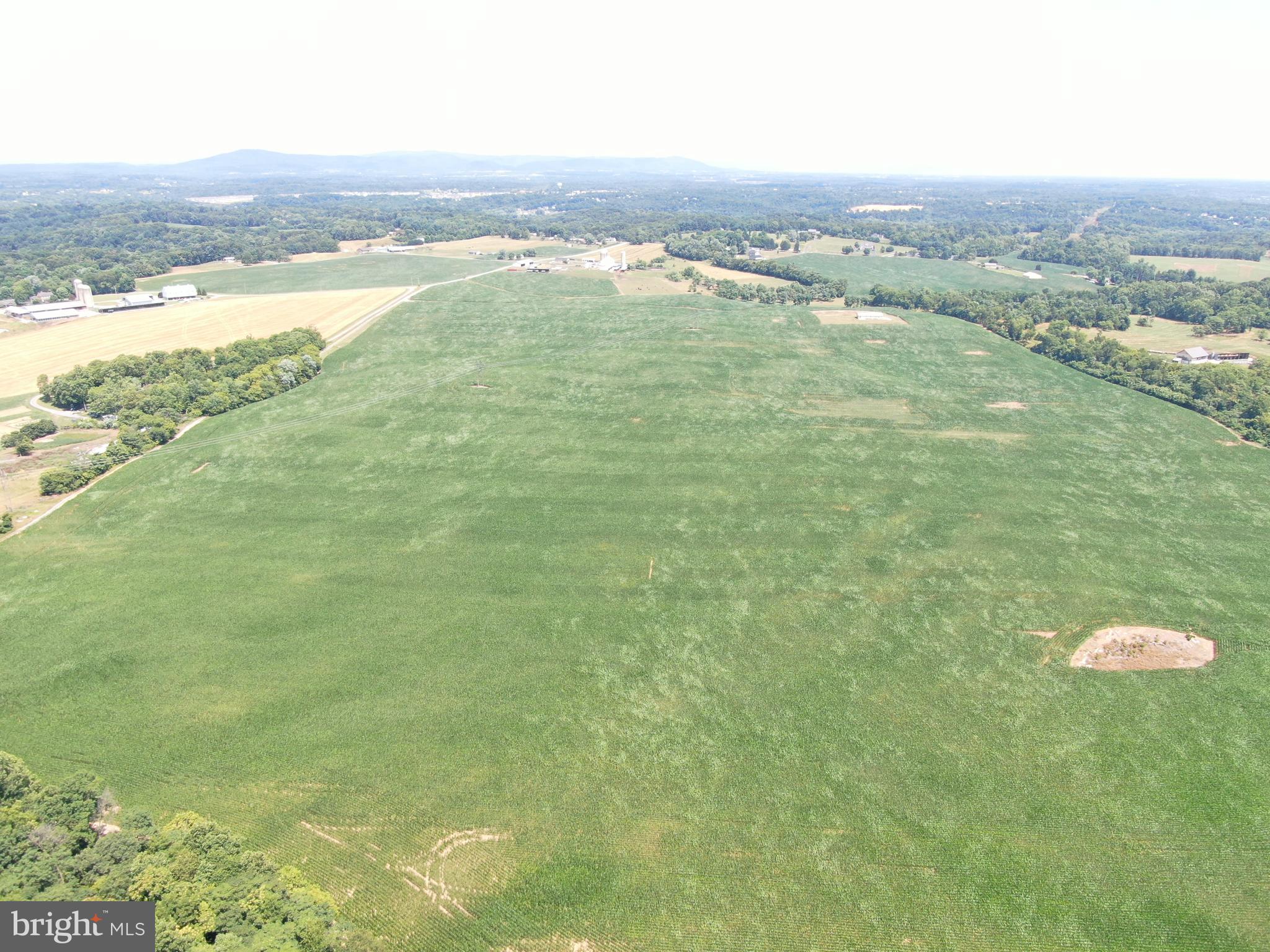 NONE AVAILABLE - Farm