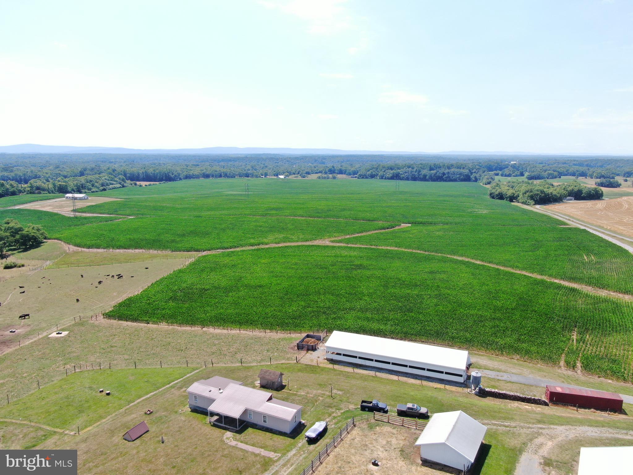 NONE AVAILABLE - Farm