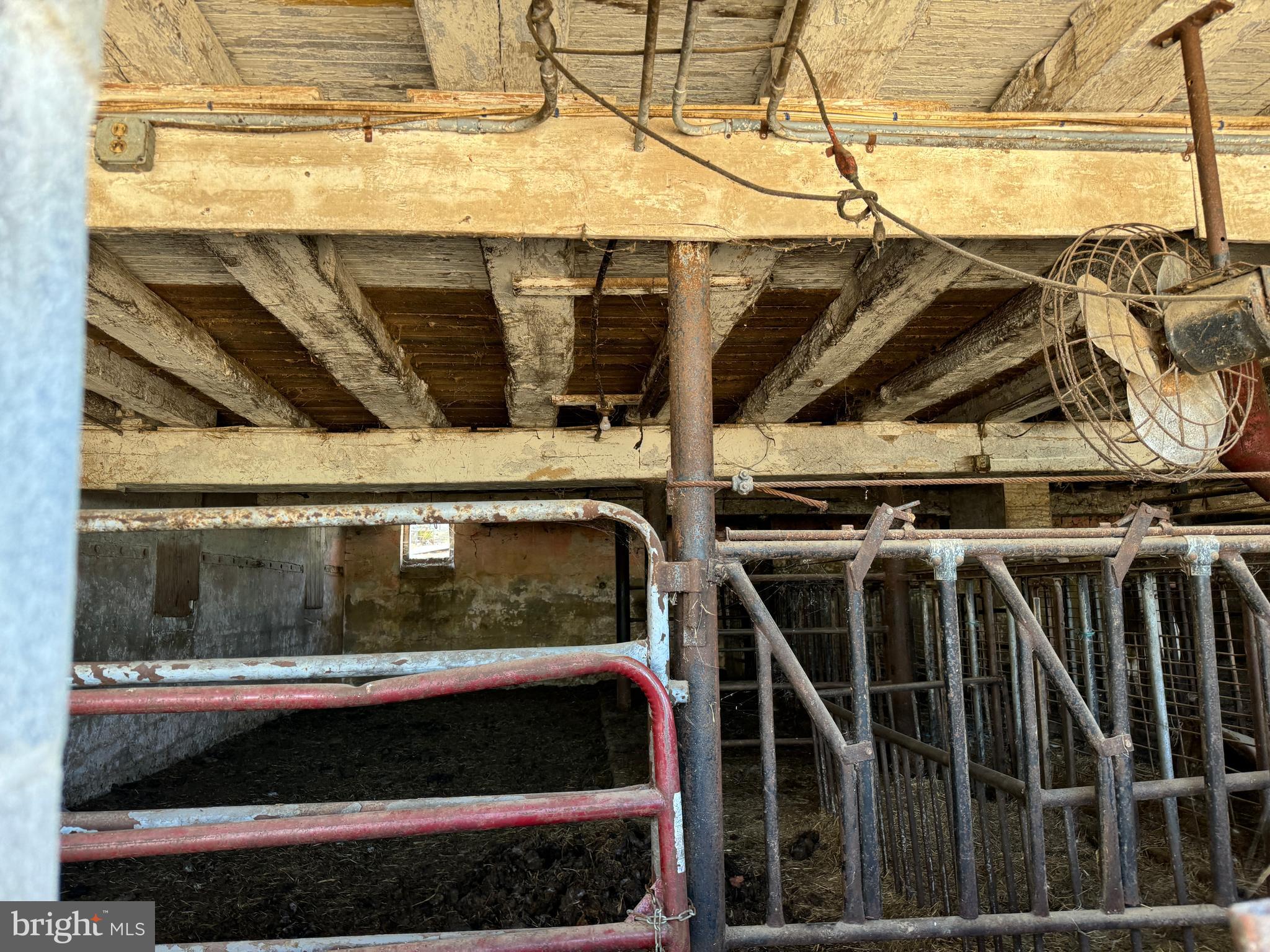 NONE AVAILABLE - Farm