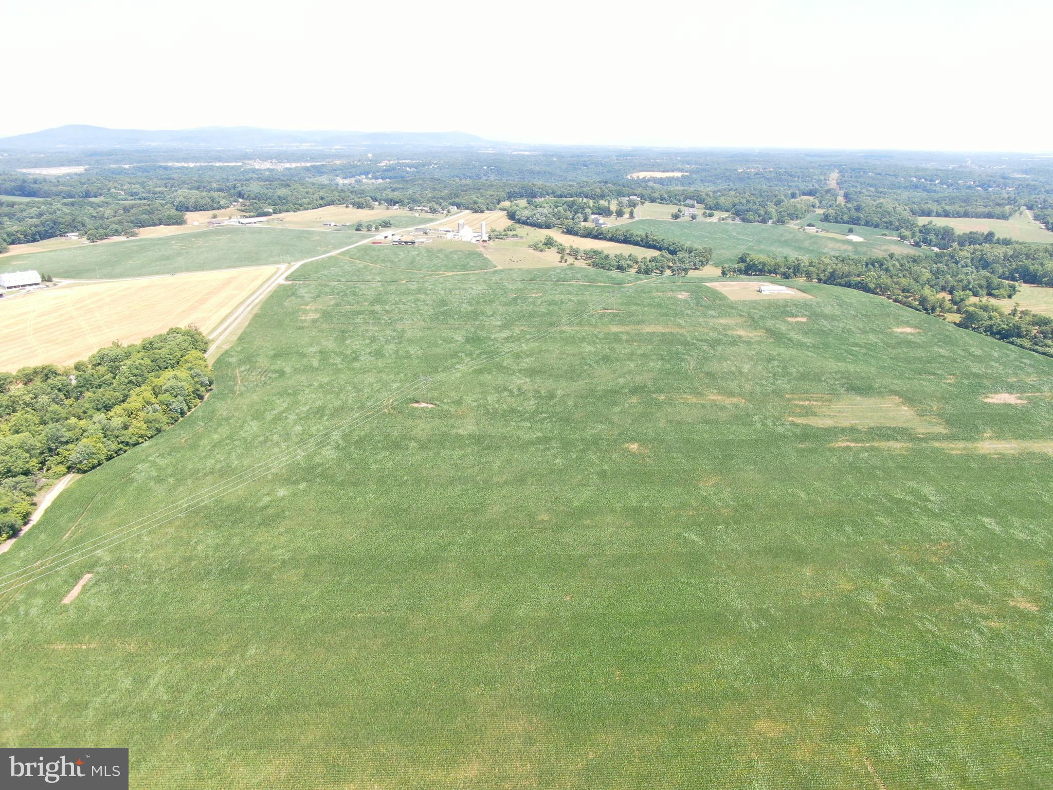 NONE AVAILABLE - Farm