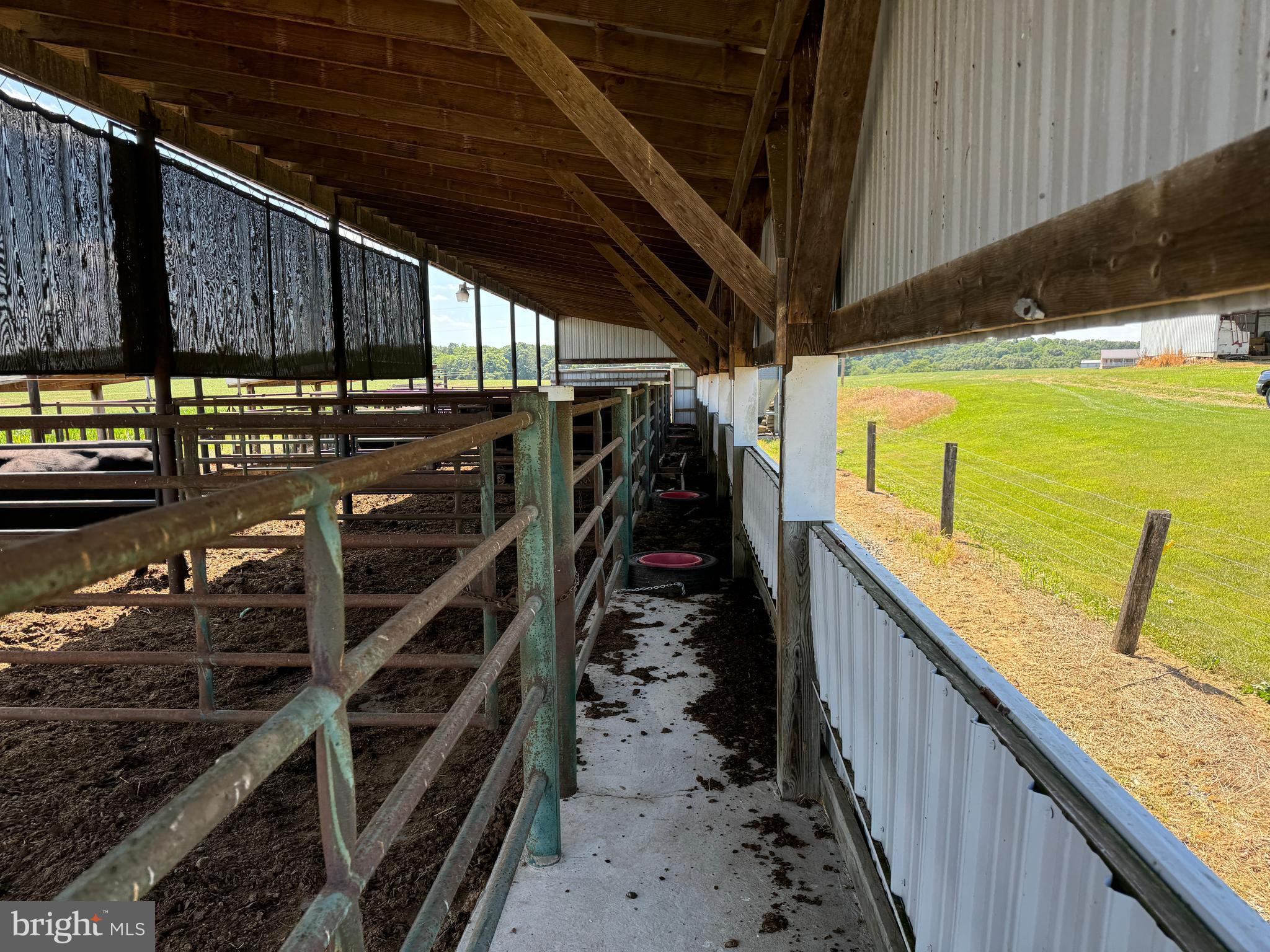 NONE AVAILABLE - Farm