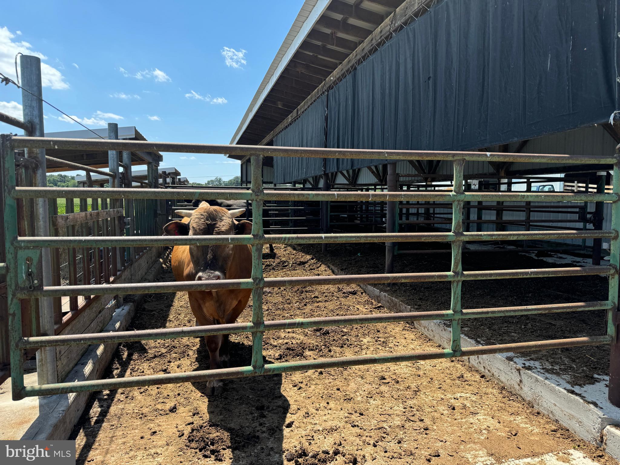 NONE AVAILABLE - Farm