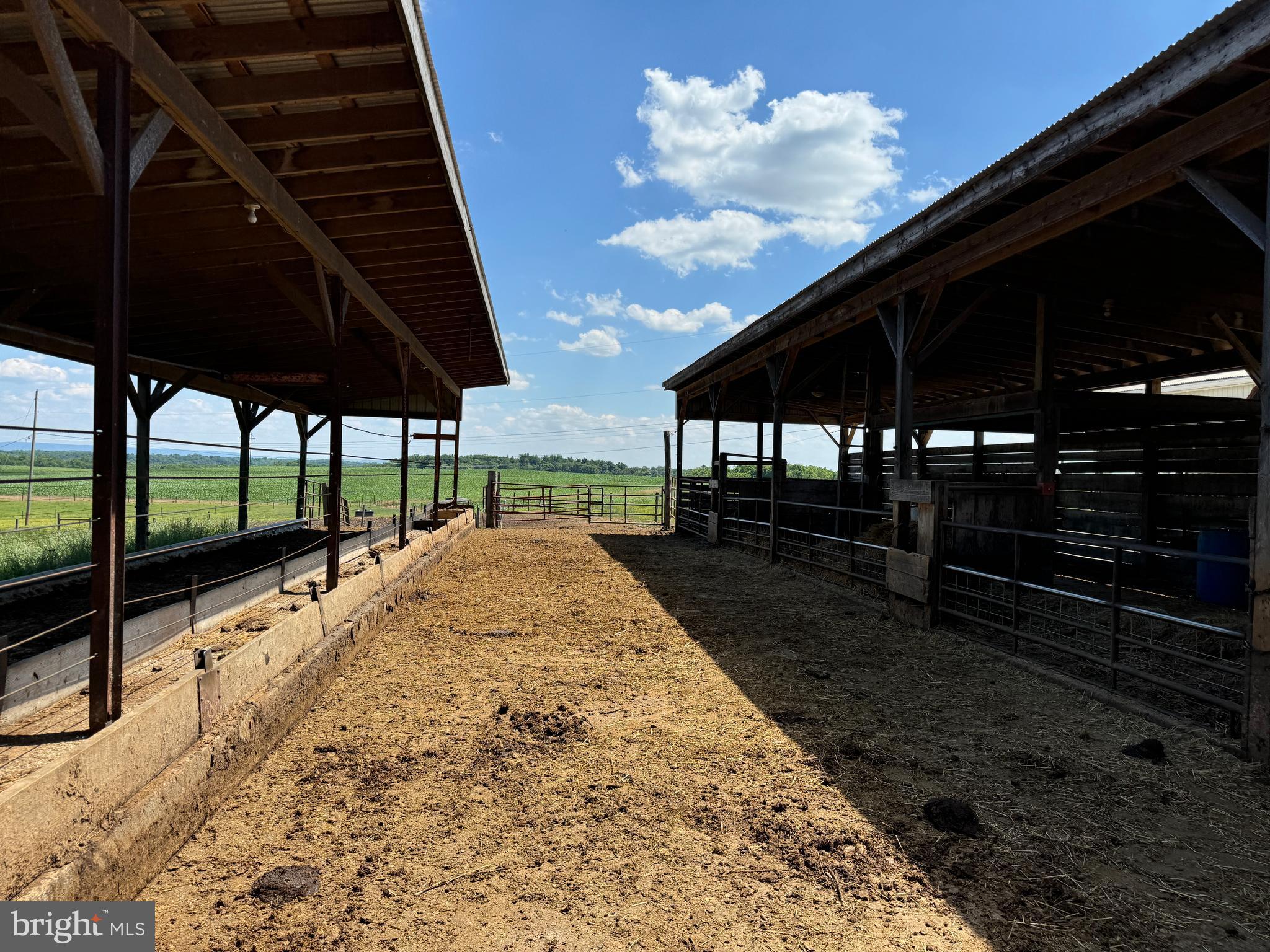 NONE AVAILABLE - Farm