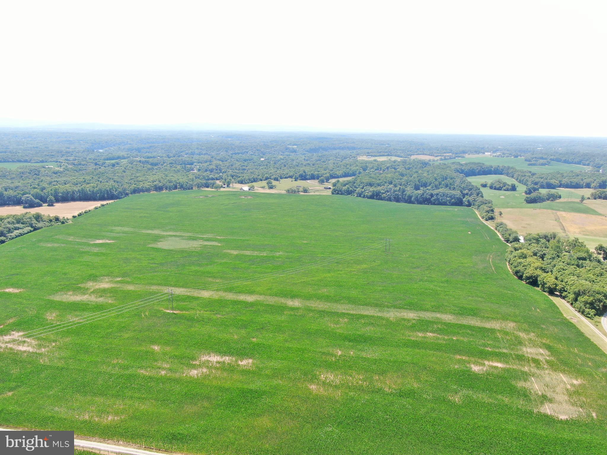 NONE AVAILABLE - Farm