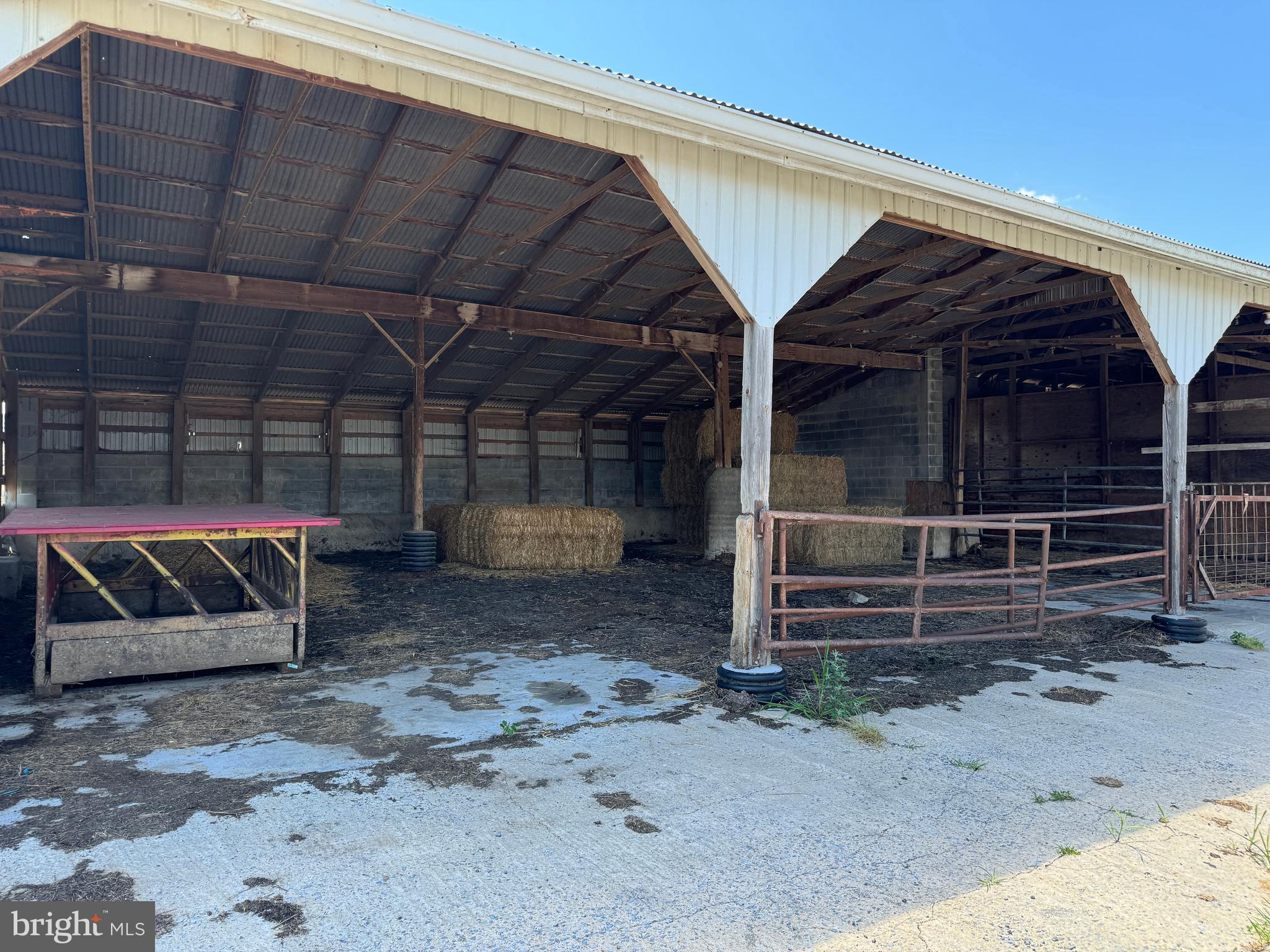 NONE AVAILABLE - Farm