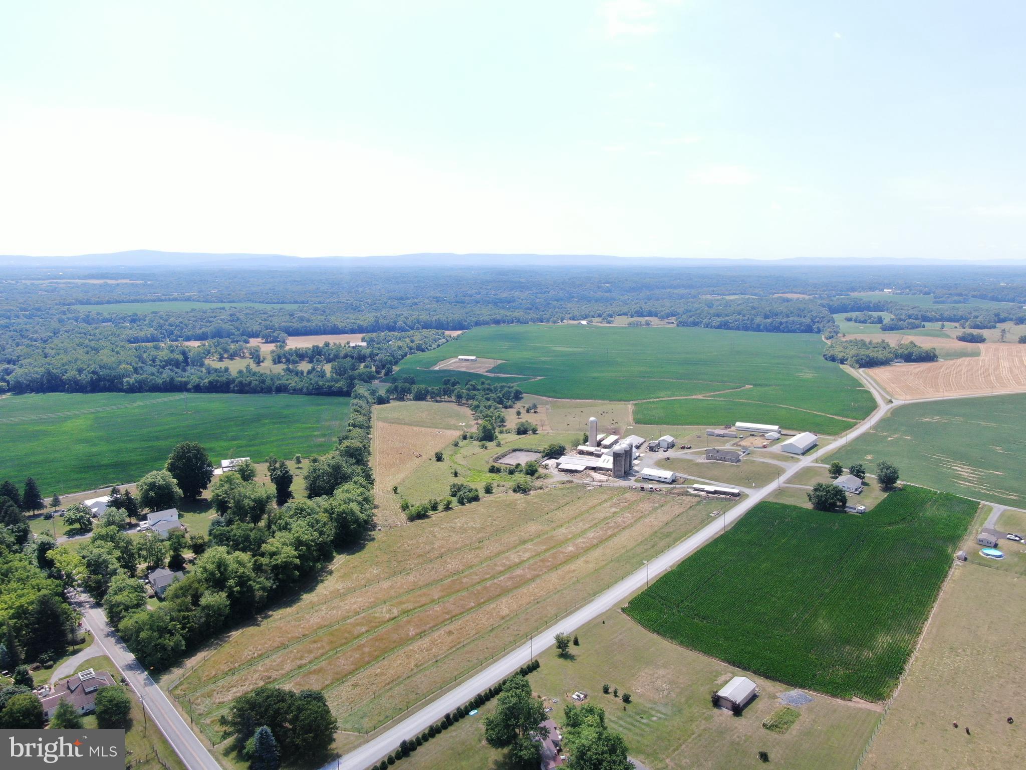 NONE AVAILABLE - Farm