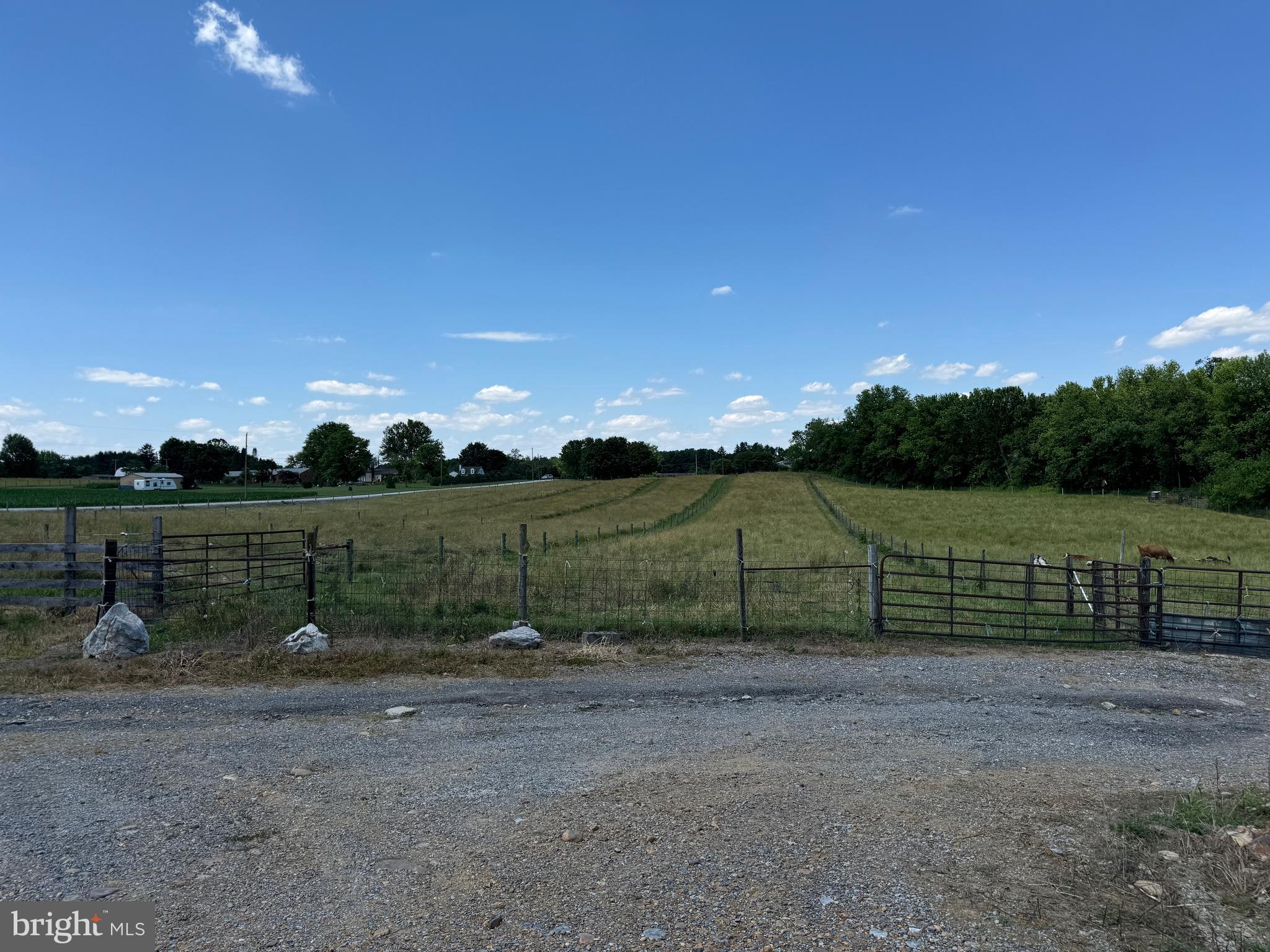 NONE AVAILABLE - Farm