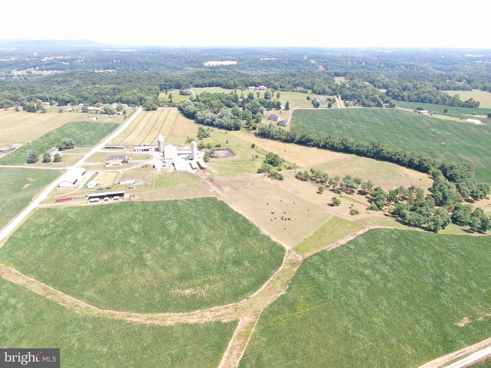 NONE AVAILABLE - Farm