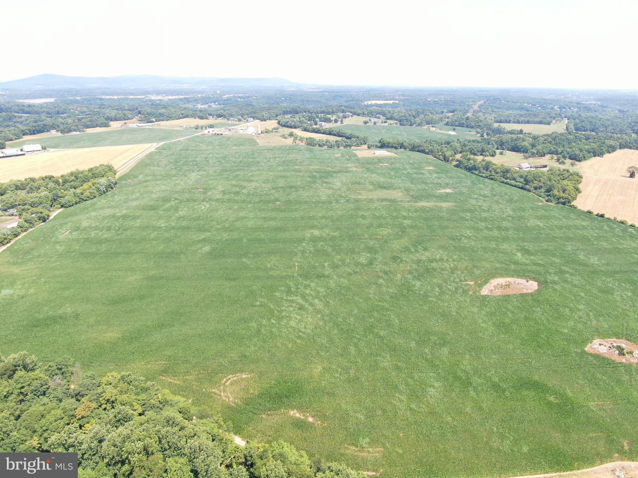 NONE AVAILABLE - Farm