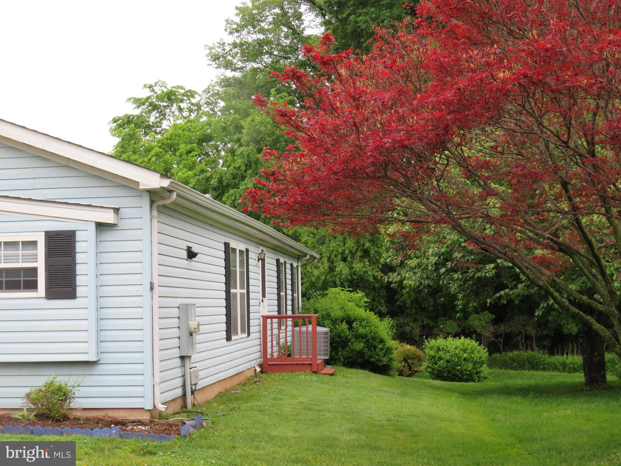BUCKINGHAM SPRINGS - Residential