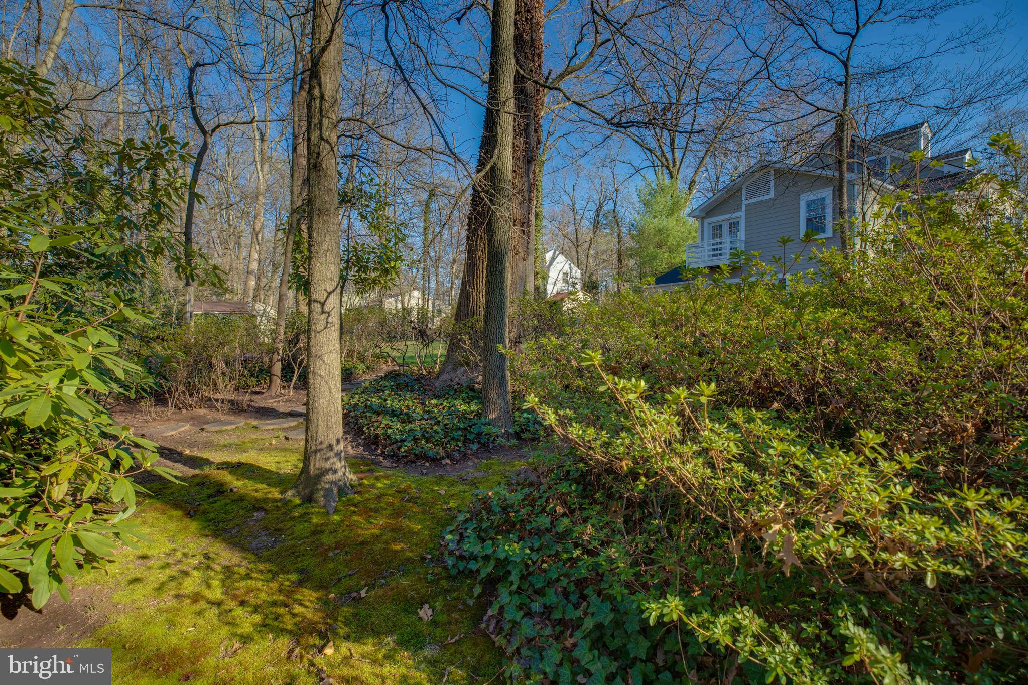 LEE FOREST - Residential