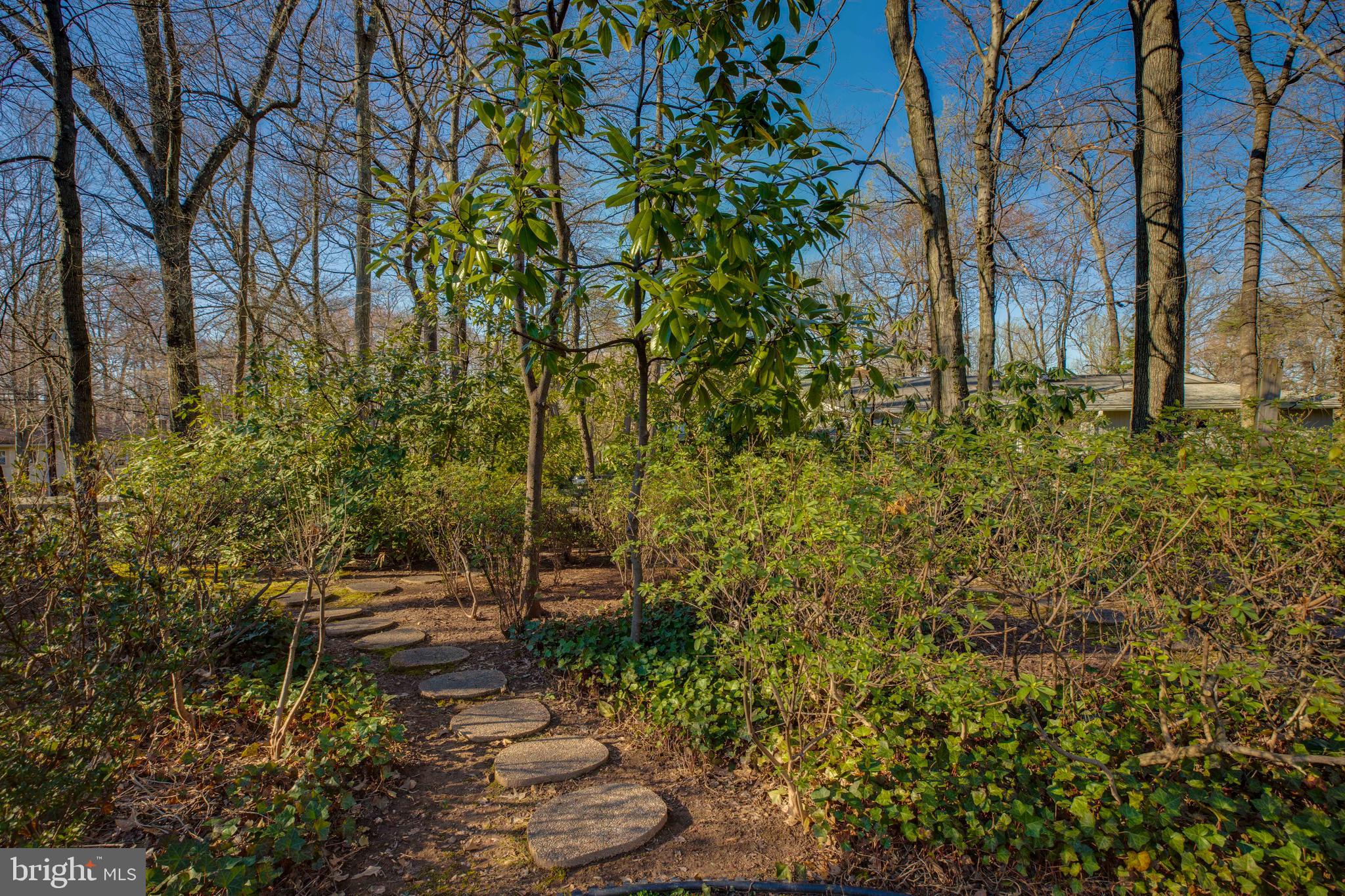 LEE FOREST - Residential