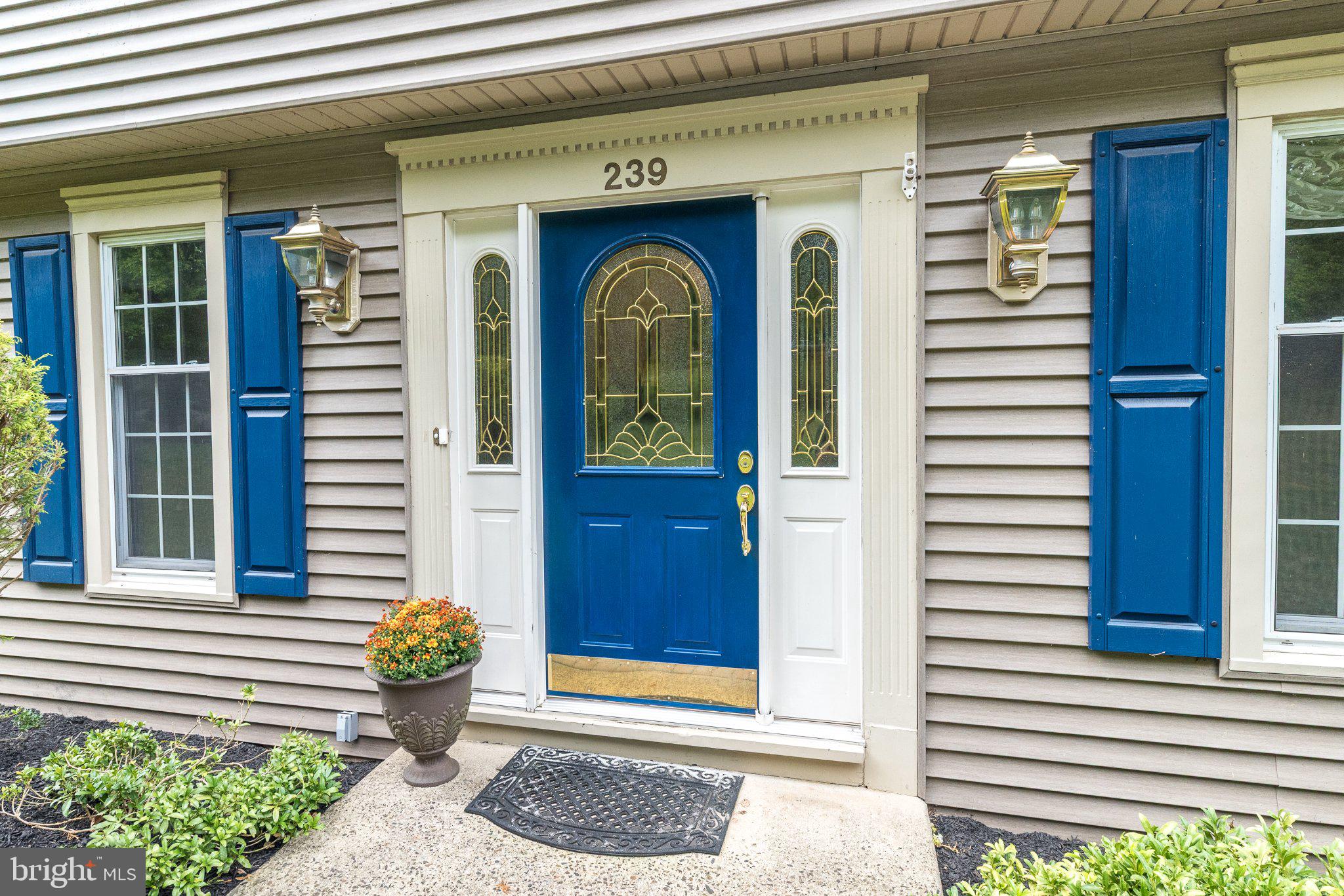239 SADDLE DRIVE
