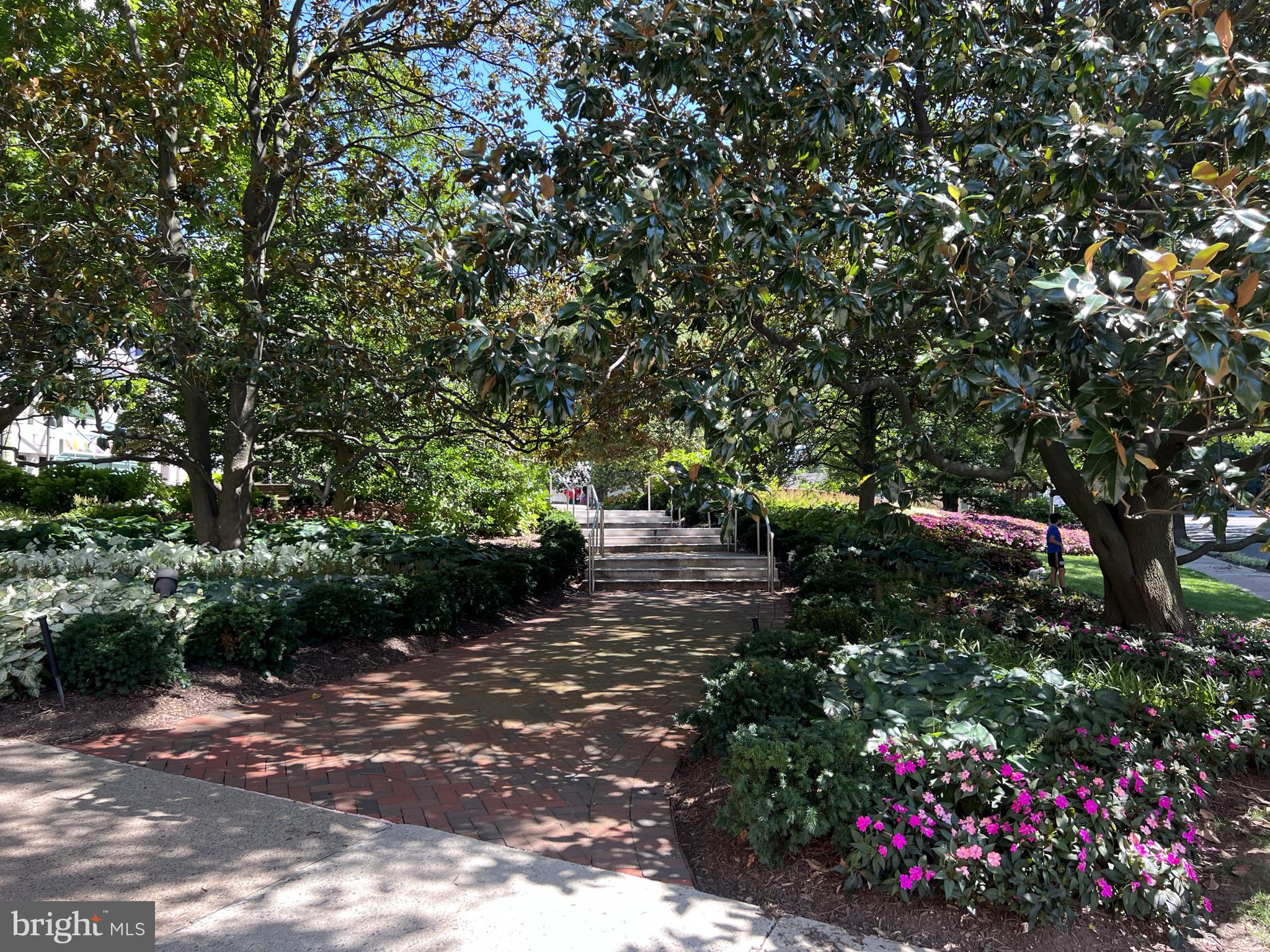 WILLOUGHBY OF CHEVY CHASE - Residential