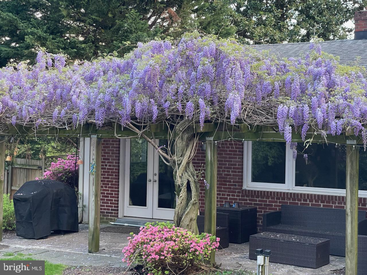 CHEVY CHASE VIEW - Residential