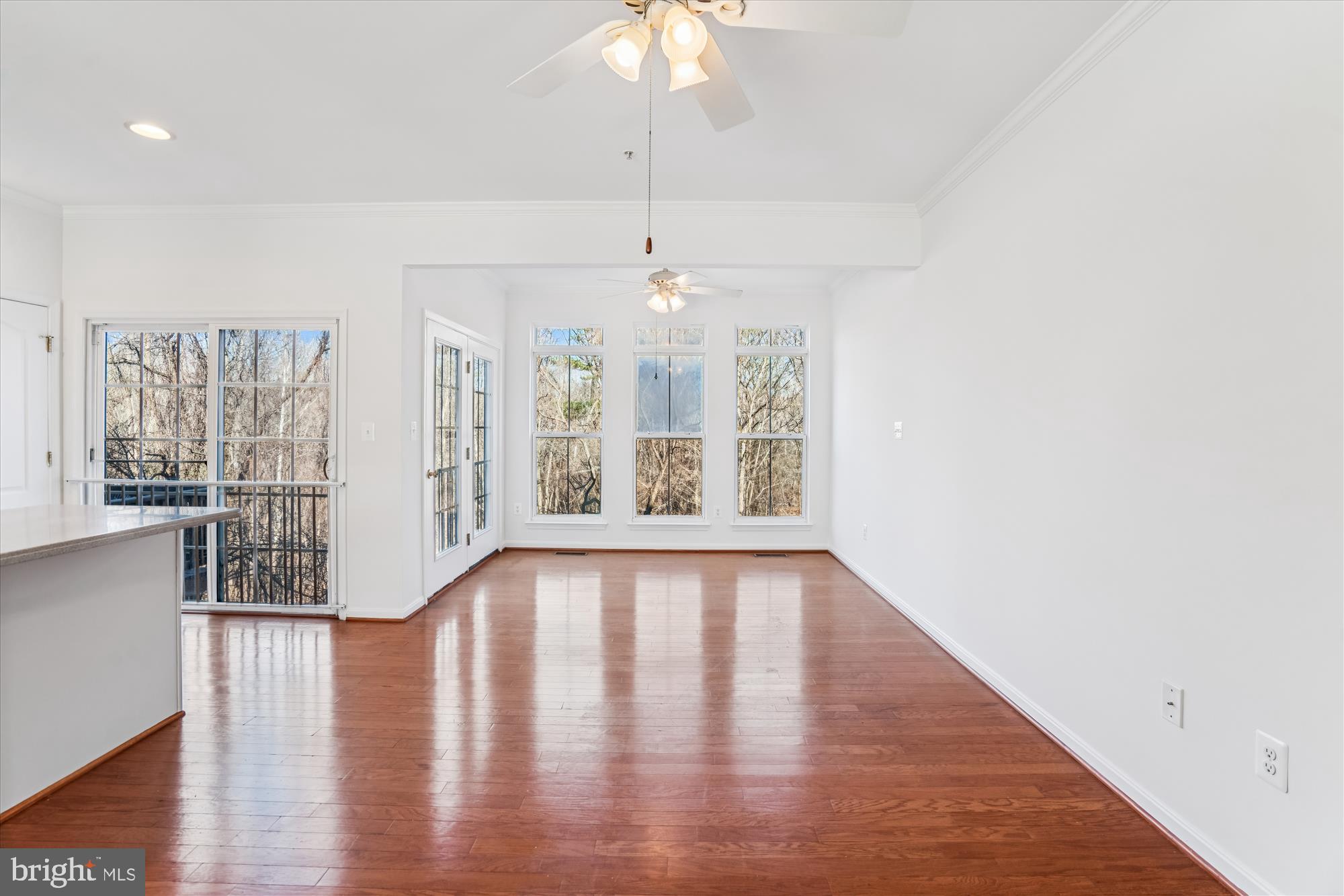 TOWN CENTER AT CAMP SPRINGS - Residential