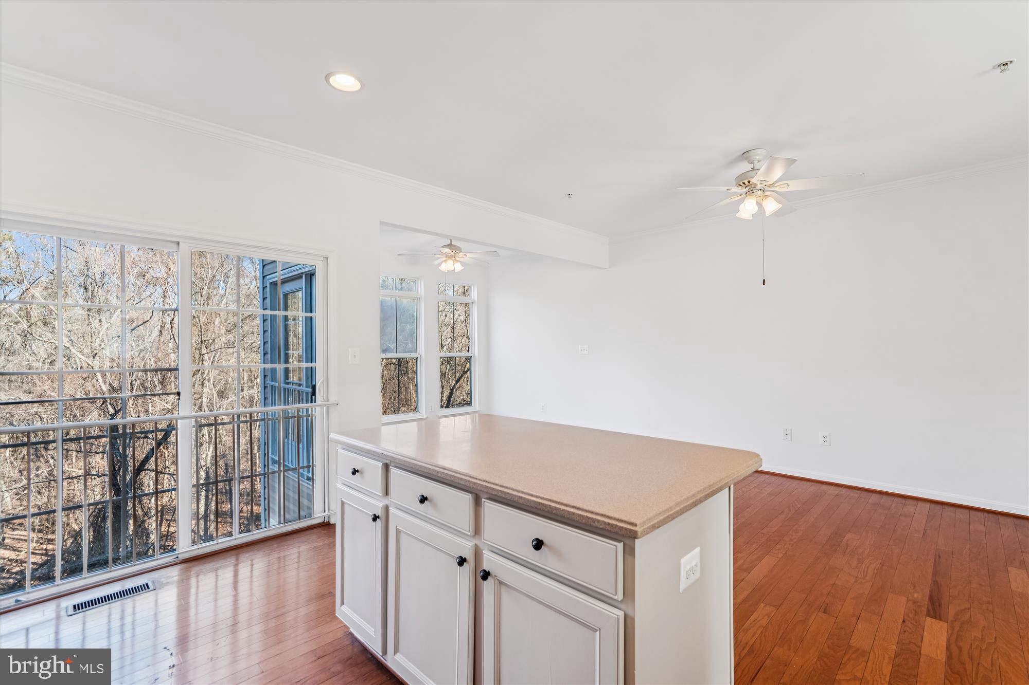 TOWN CENTER AT CAMP SPRINGS - Residential