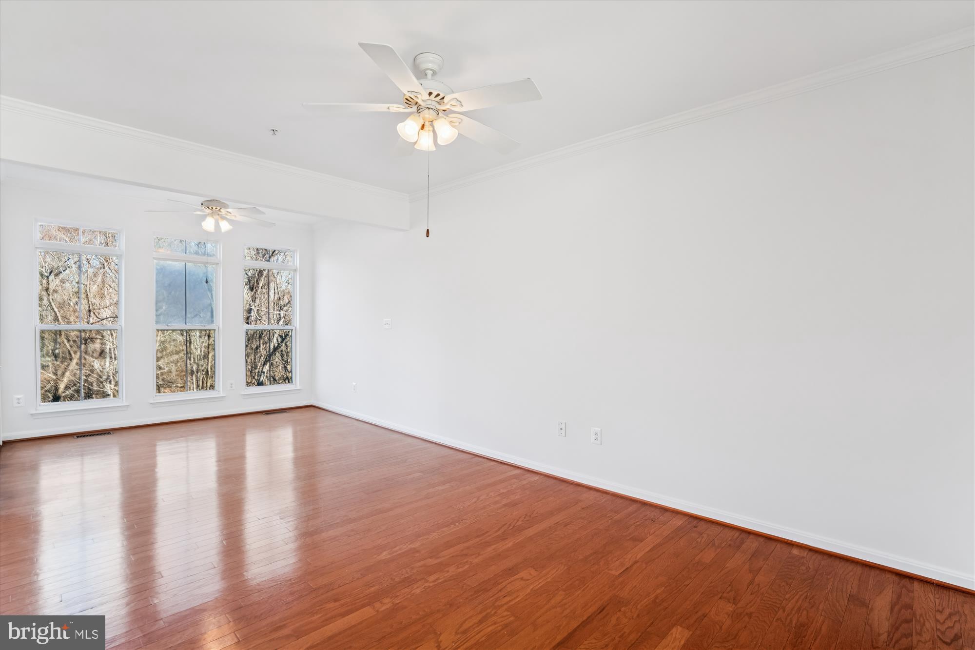 TOWN CENTER AT CAMP SPRINGS - Residential