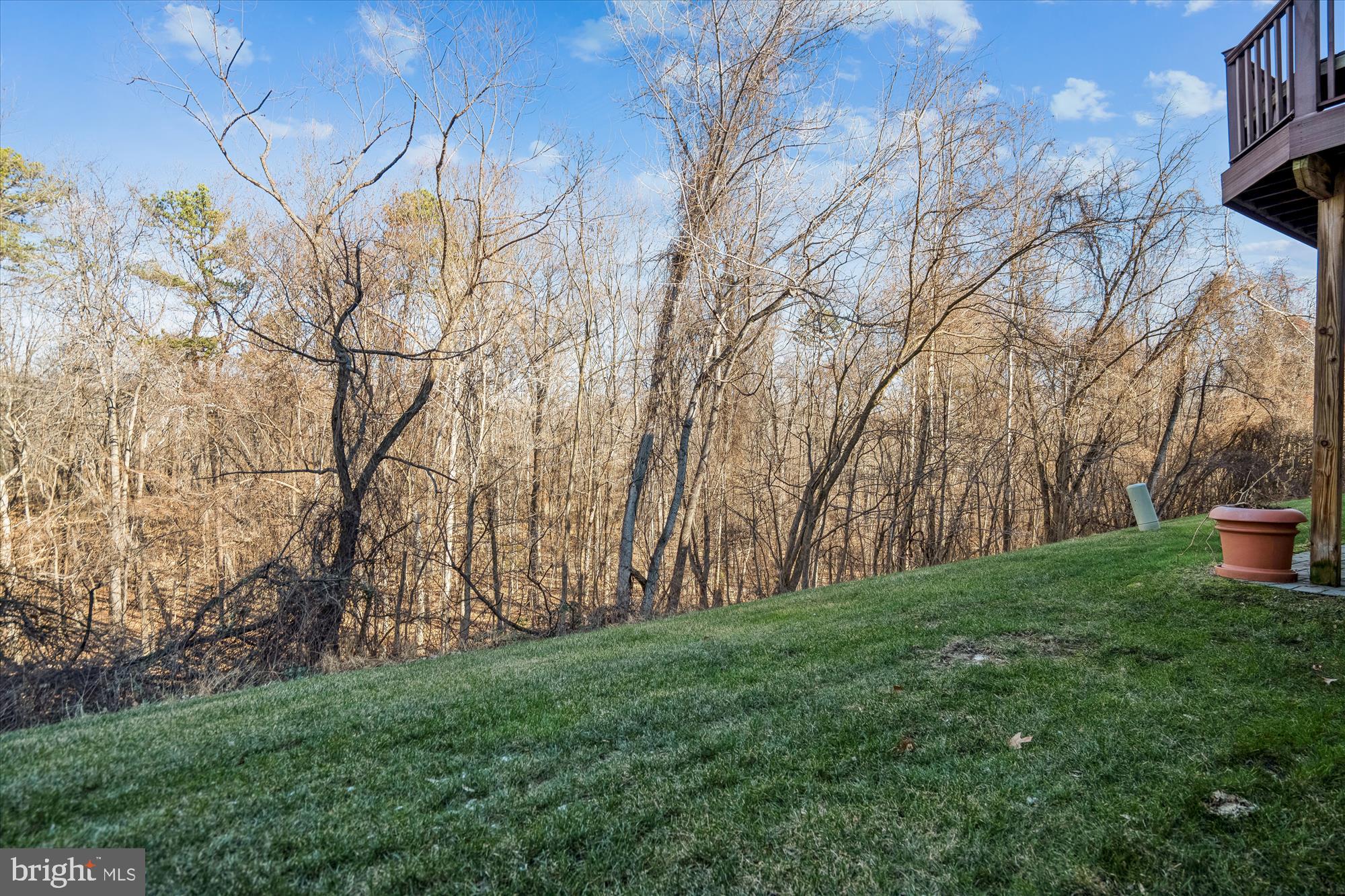 TOWN CENTER AT CAMP SPRINGS - Residential