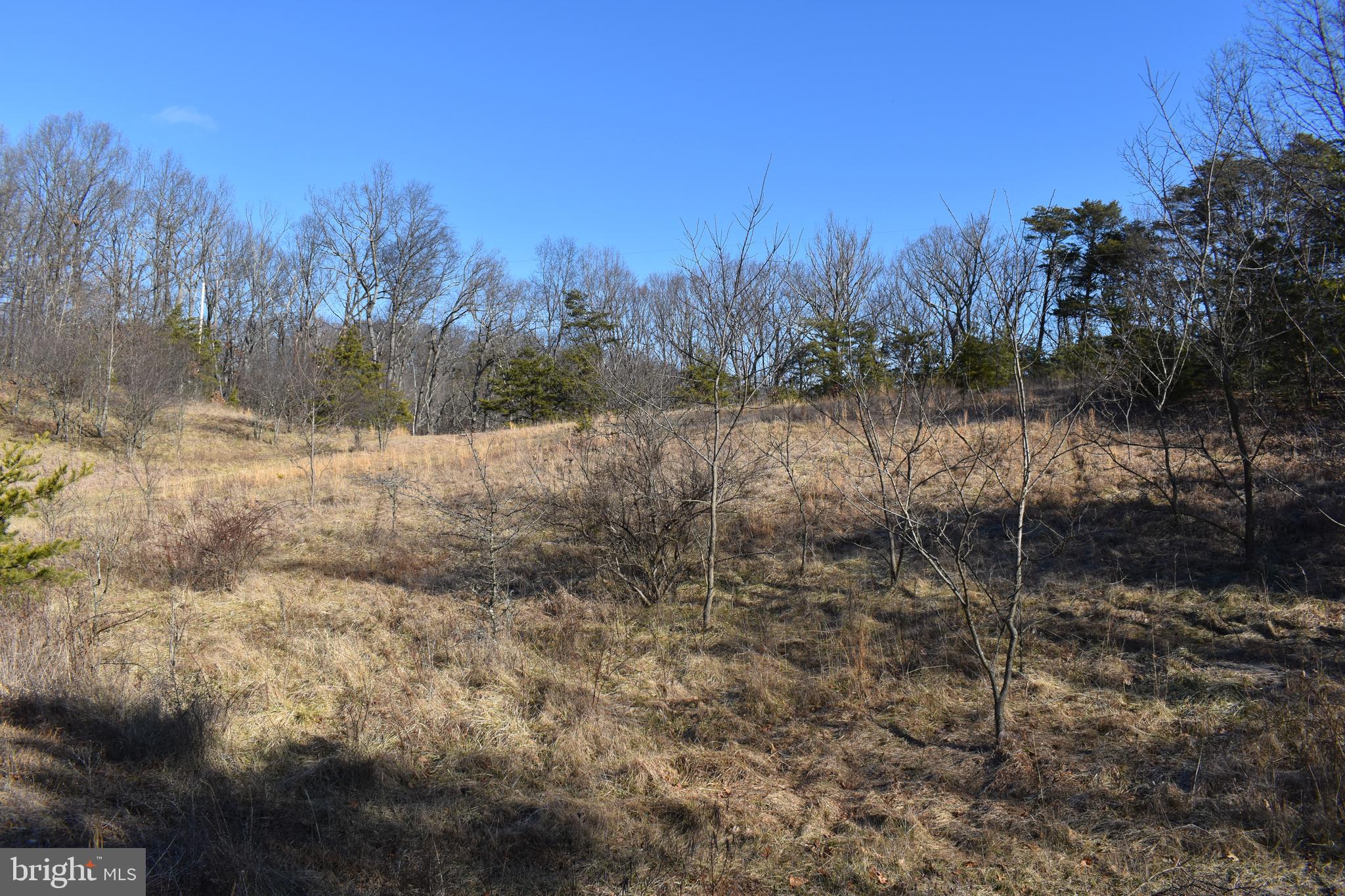 5 Acres of Pristine WV wonderland! This property is perc'ed and ready to build in Forest Haven. Community has nicer homes on 5+ acre lots and is just 15 minutes to I-81, very close to the Winchester VA area. This lot backs right up to Shanghai and Sleepy Creek Wildlife Management State Grounds of over 21,000 acres of hunting, ATV, fishing, etc. Leave your backdoor, and hit over 21K acres for your hunting adventures! This is a great spot! There are two other lots being listed with this one to complete the package and give you three buildable lots of just about 15 Acres Total. Look for Lot 22 and 23 Fable Rd to get more info.