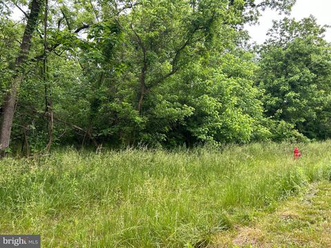 Vacant Land For Sale - E Main Street<br/> MARSHALL, VA 20115