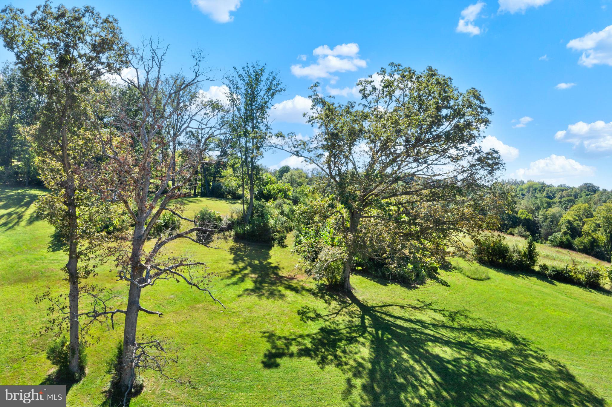 BELLEVUE FARMS - Residential