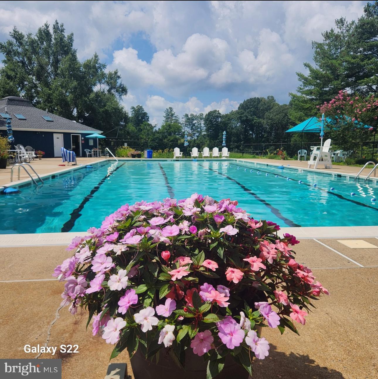 BELLEVUE FARMS - Residential