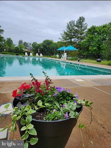 BELLEVUE FARMS - Residential