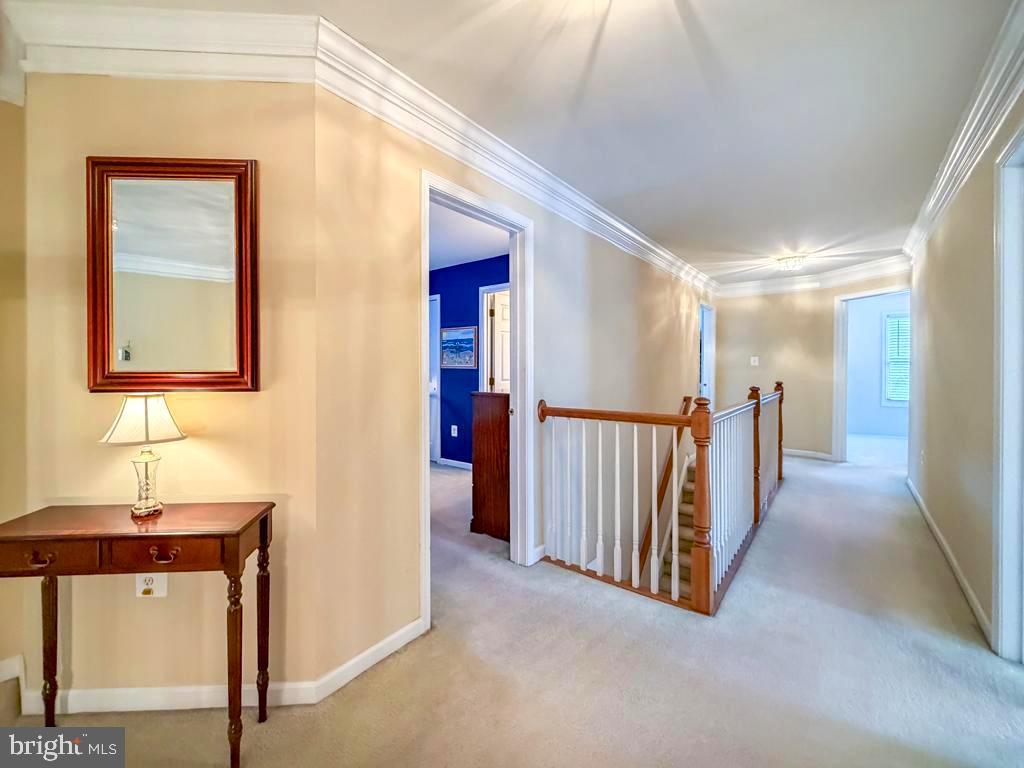 BRIDLE ESTATES - Residential