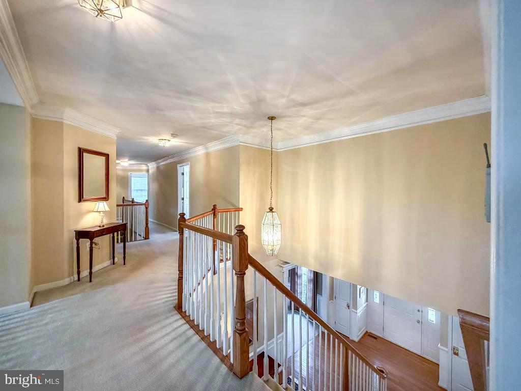 BRIDLE ESTATES - Residential