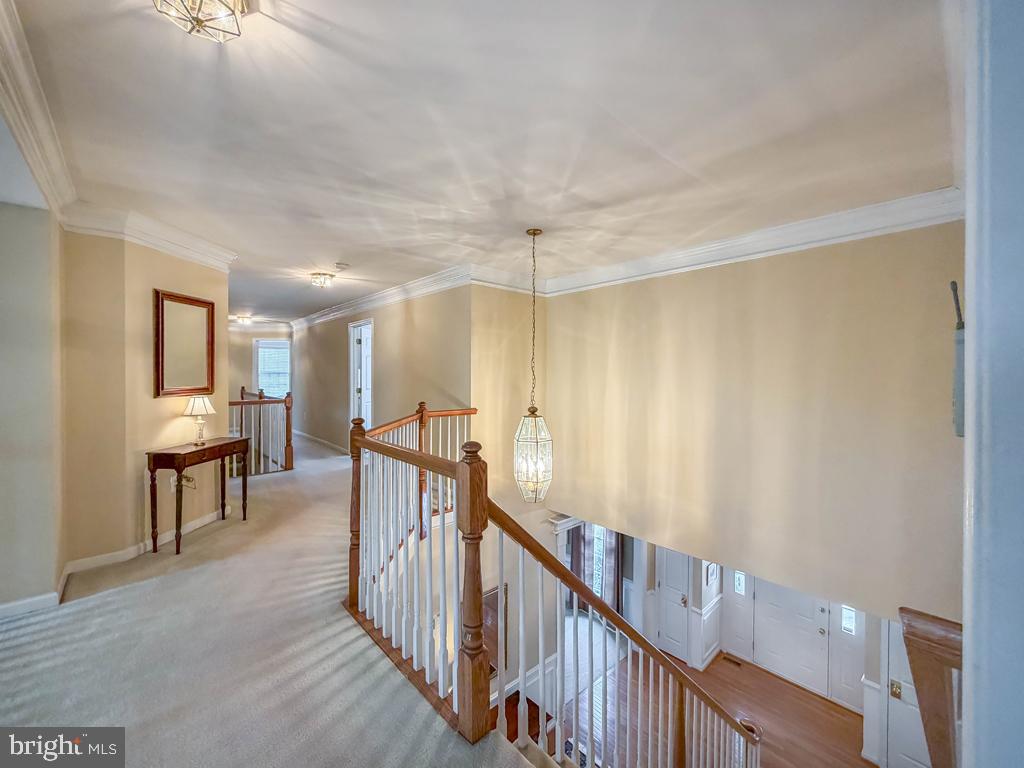 BRIDLE ESTATES - Residential