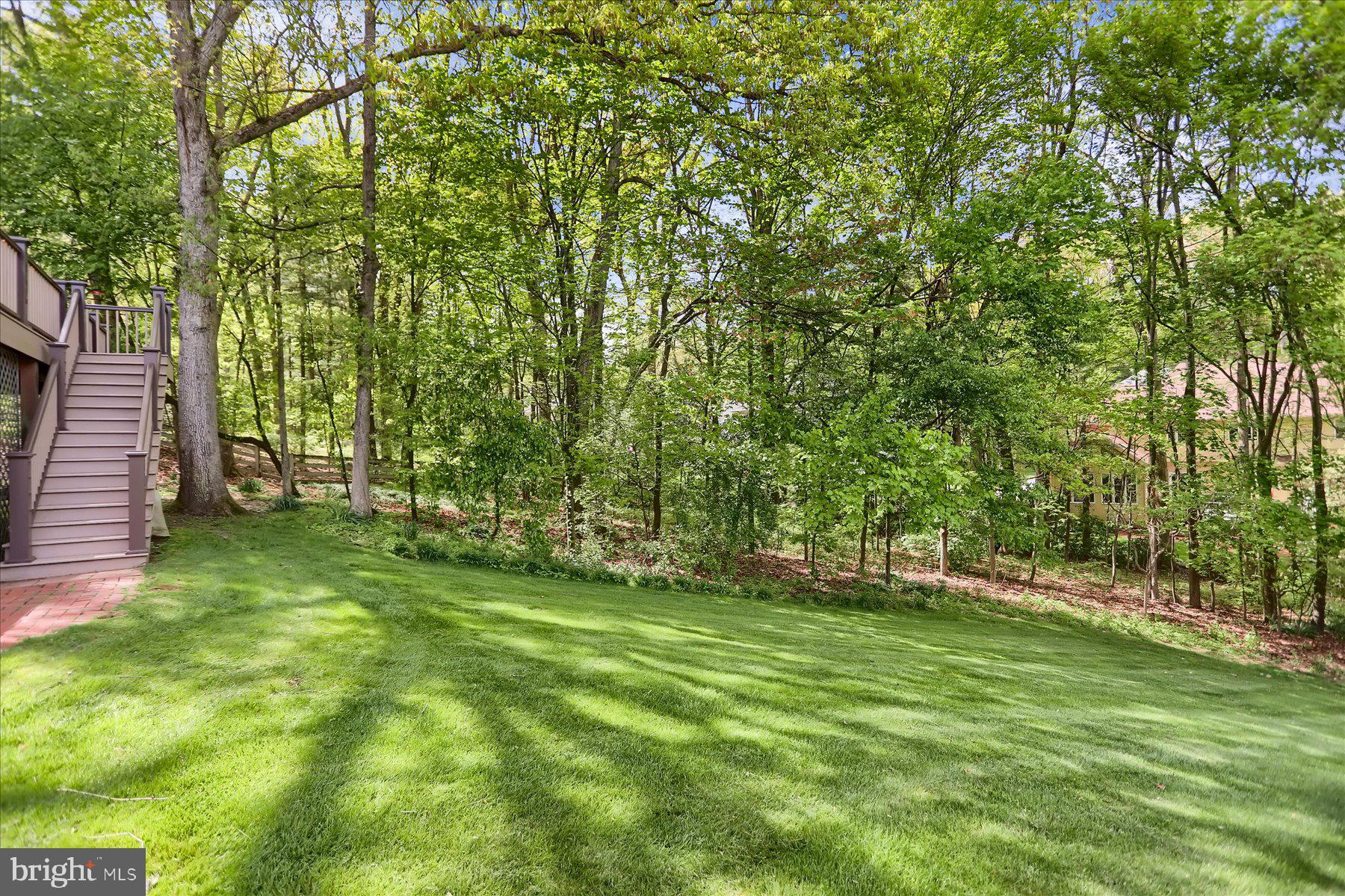 CHESTNUT RIDGE - Residential