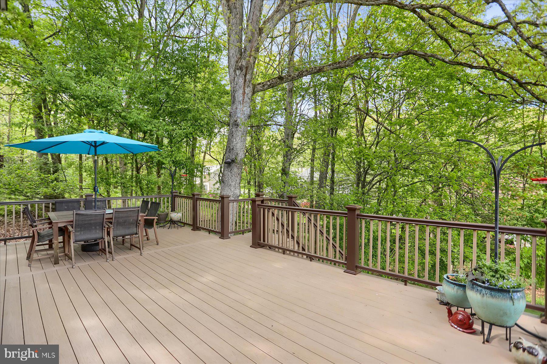 CHESTNUT RIDGE - Residential