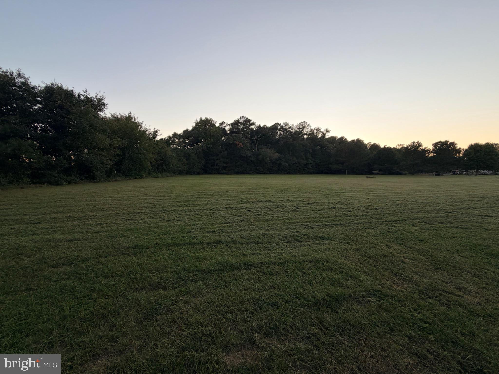 Lot 1 BUTLER BRANCH RD
