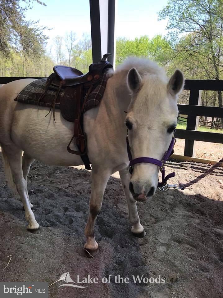 LAKE OF THE WOODS - Residential