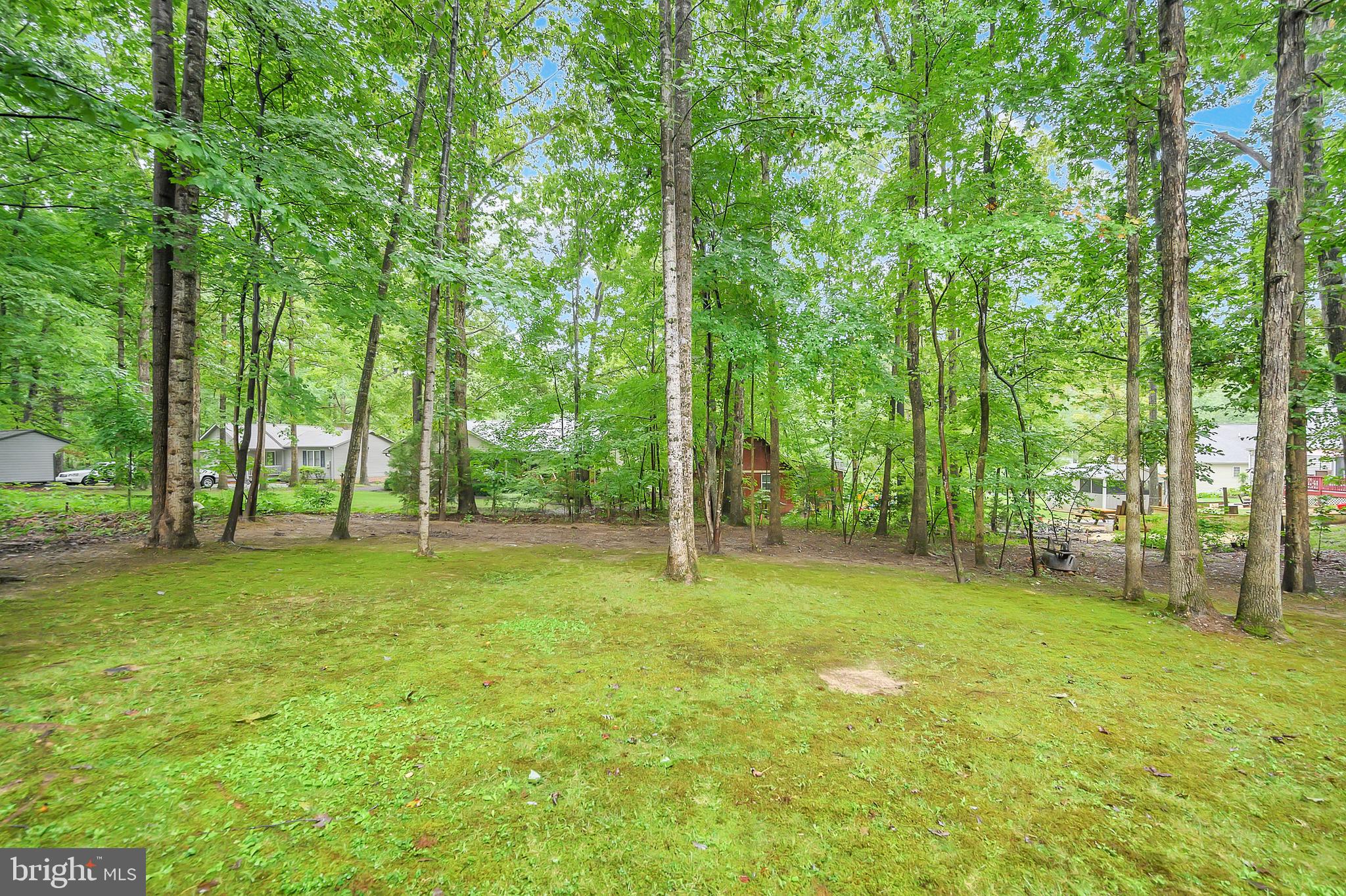 LAKE OF THE WOODS - Residential