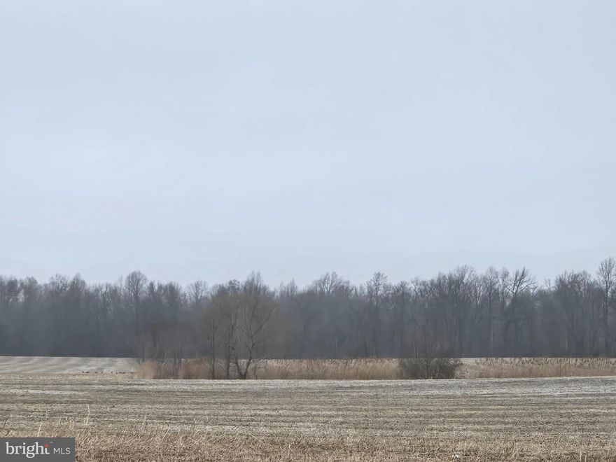 Looking for that perfect retreat with everything nature has to offer and then some? Take a look at Winding Creek Farm west of Dover DE in the heart of Delawares Amish country! This 215 acre farm has approximatley 94 acres of tillable land and approximatley 121 acres of wooded land that has a creek running thru the northern portion of the property. This wonderful parcel has many potential uses ranging from farming & recreation, your own personal homestead or if pursued potentially a by right 49 lot subdivision.  Buyer to perform all due diligence. This parcel truly has it all, so take a tour today!