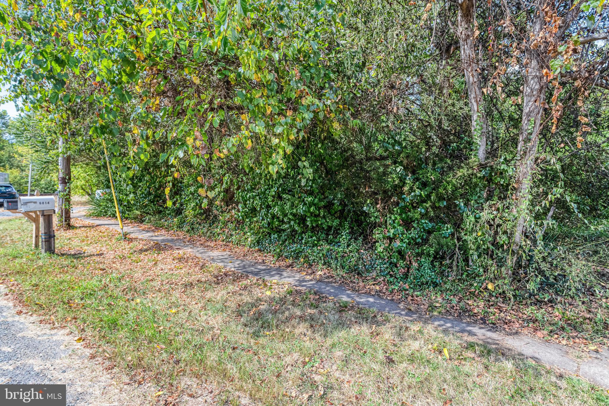 HAYMARKET TOWN - Residential