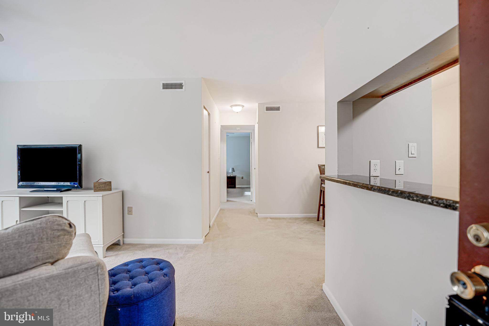 10320 LURIA COMMONS COURT 3H